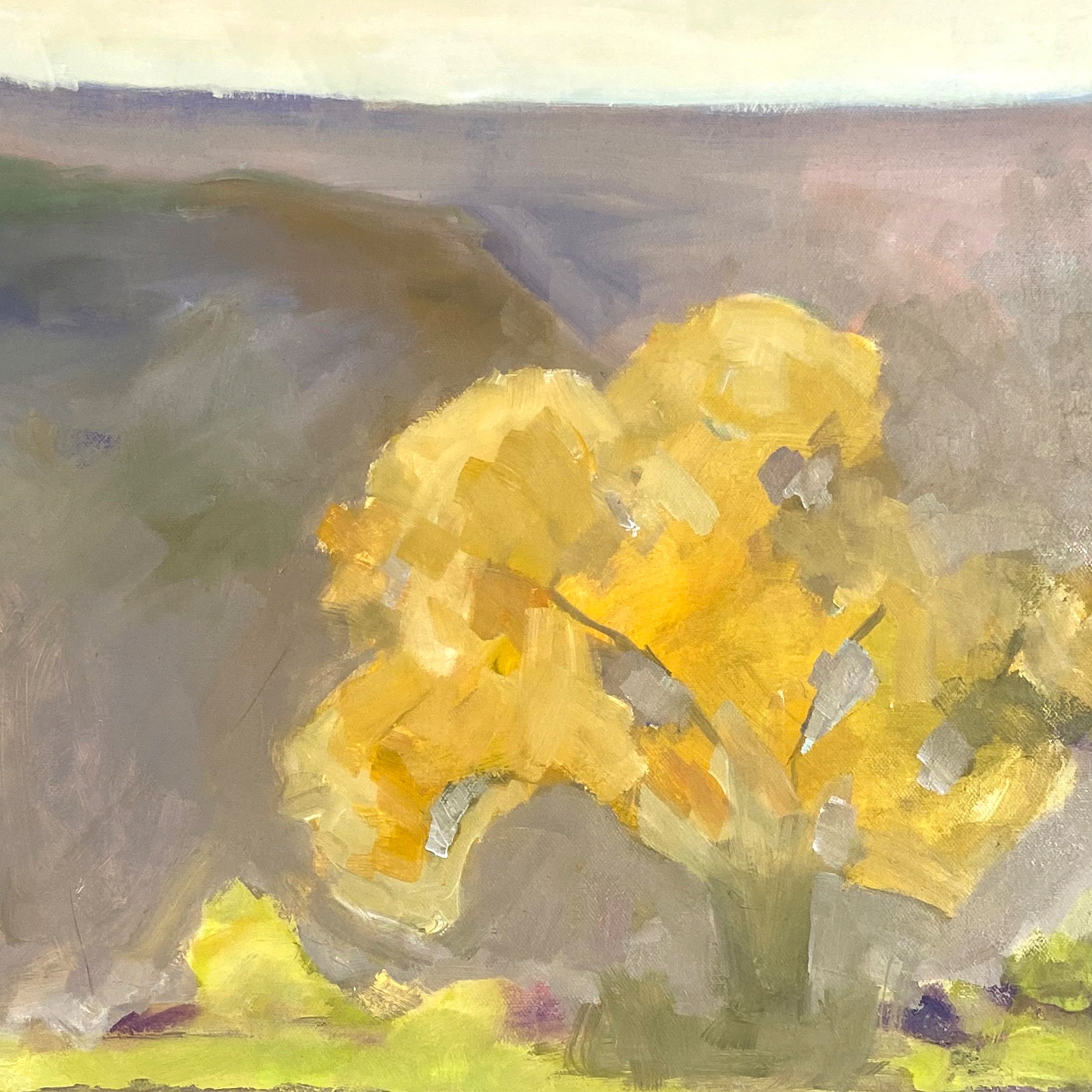 Canyon de Chelly Cottonwood