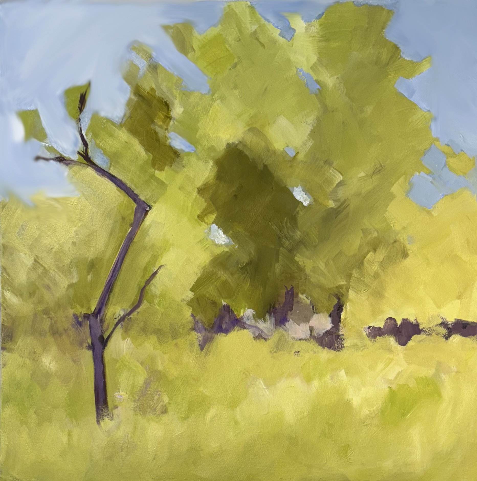 Spring in the Orchard