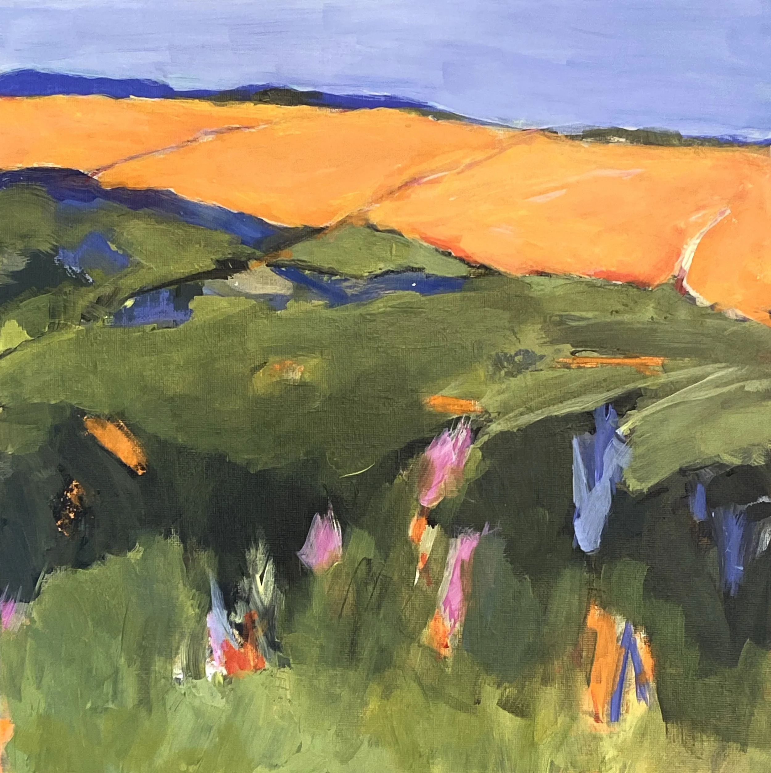 Summer Field