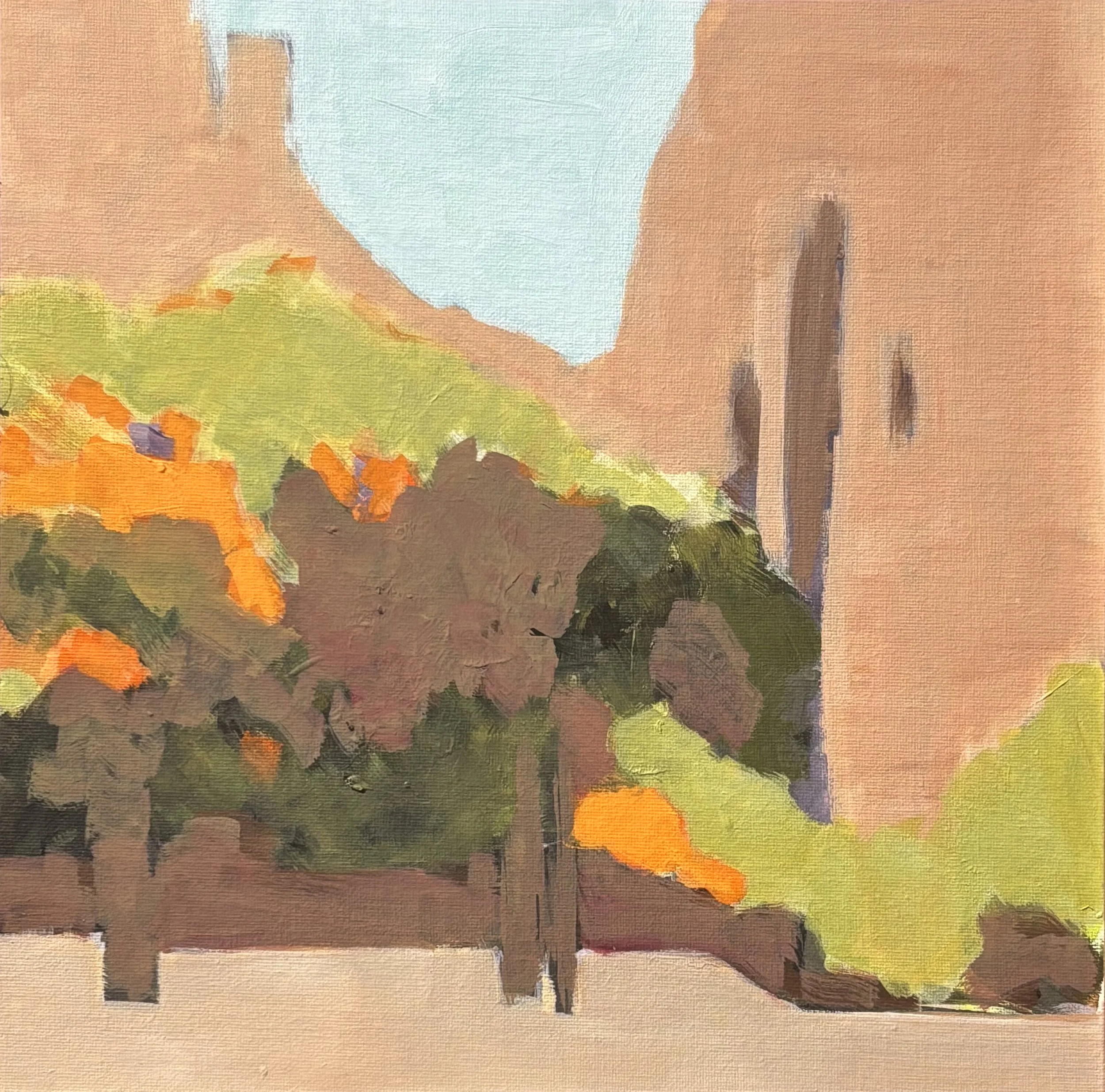 Canyon de Chelly Trees