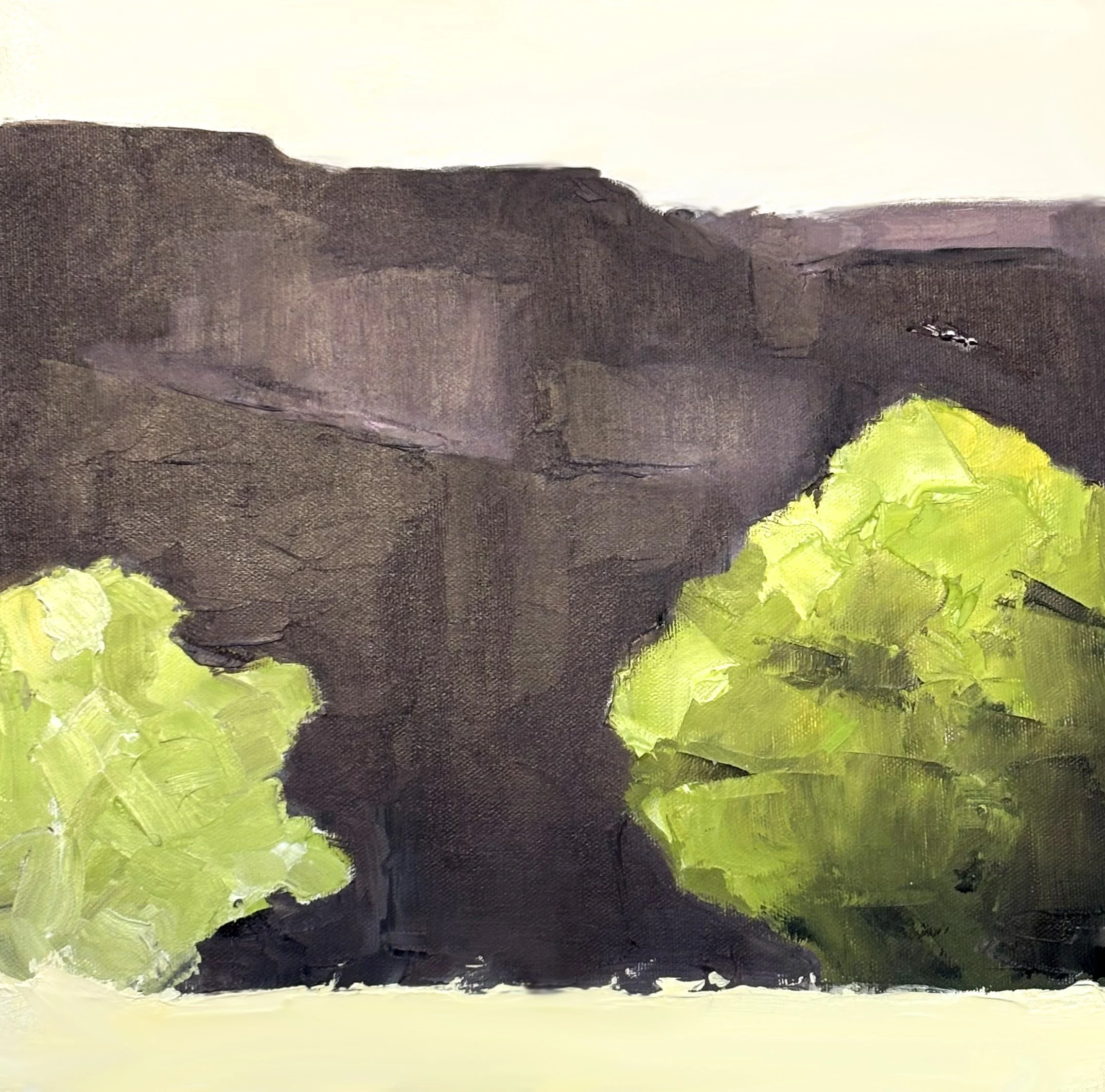 Canyon de Chelly Evening Cottonwoods