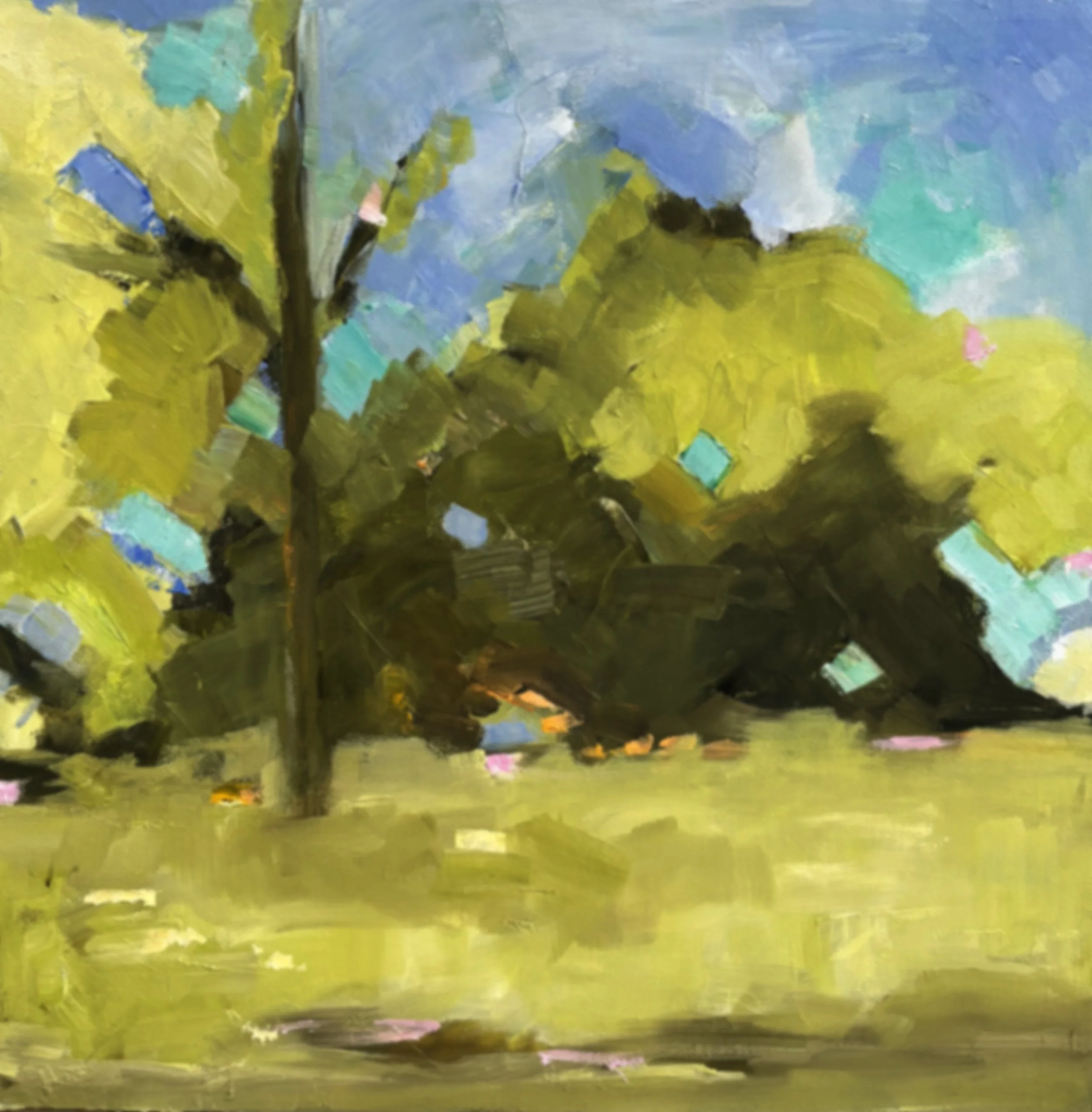 Spring in the Orchard