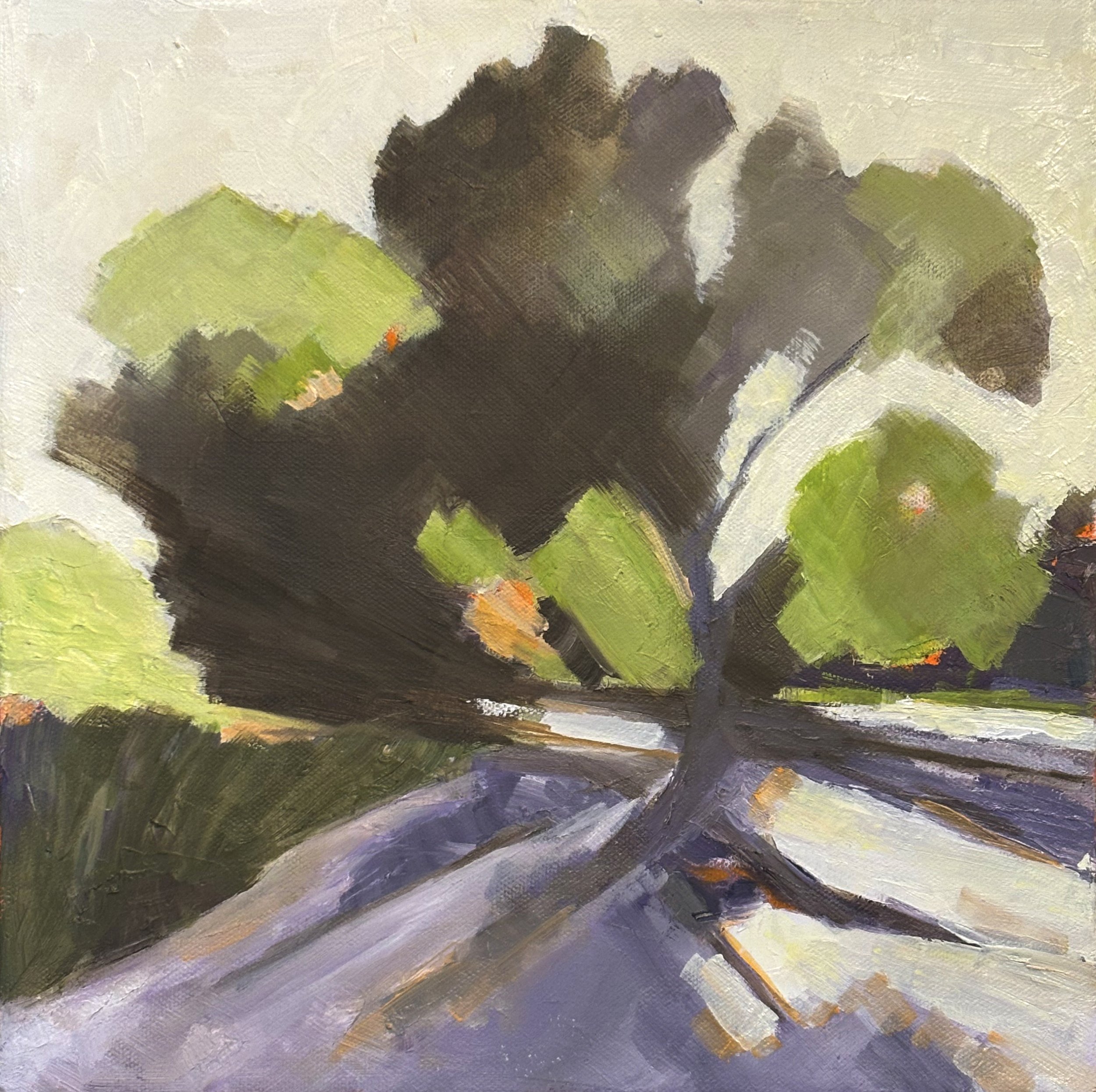 Canyon de Chelly Cottonwood