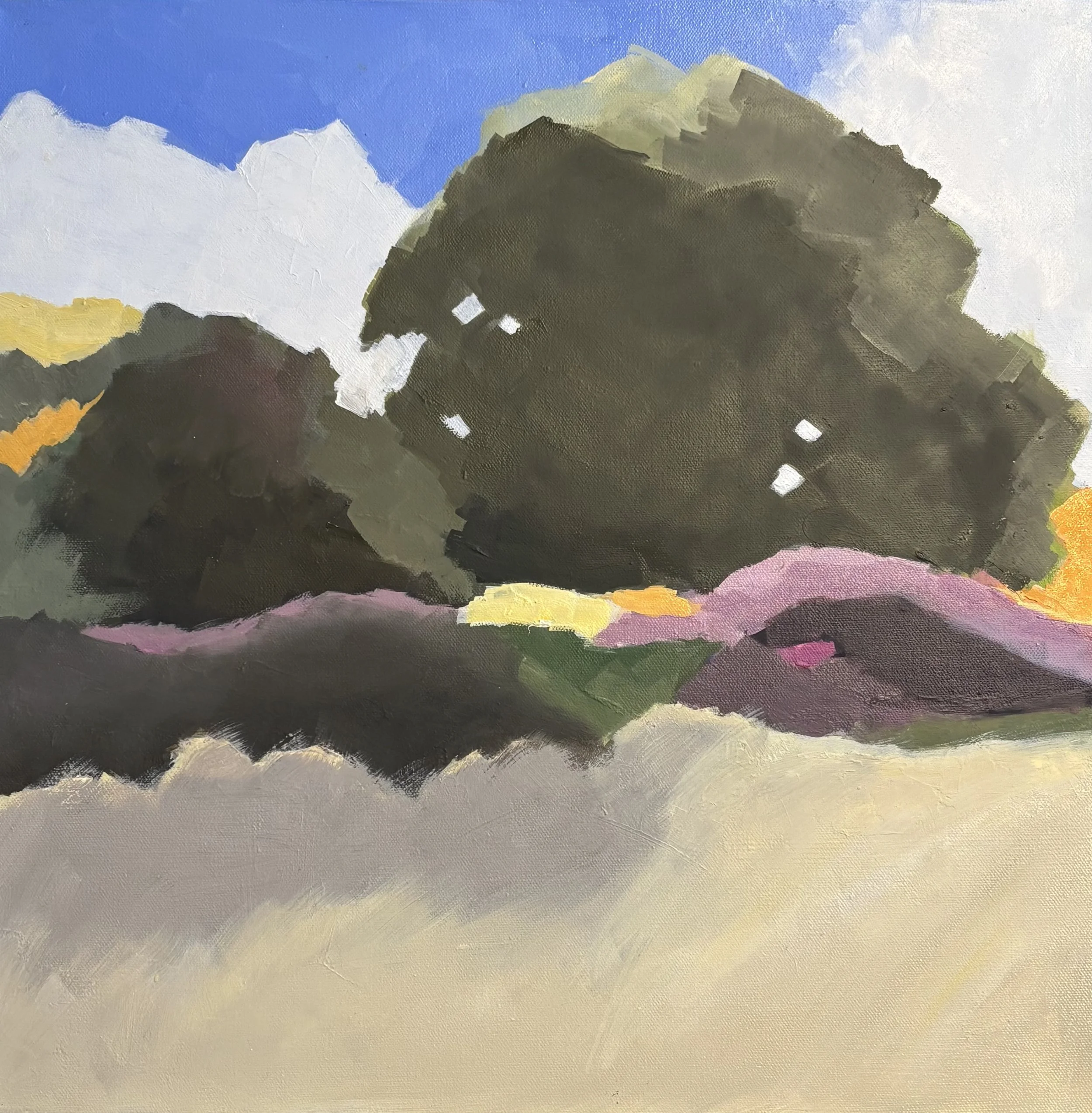 Leonora Curtin Wetland