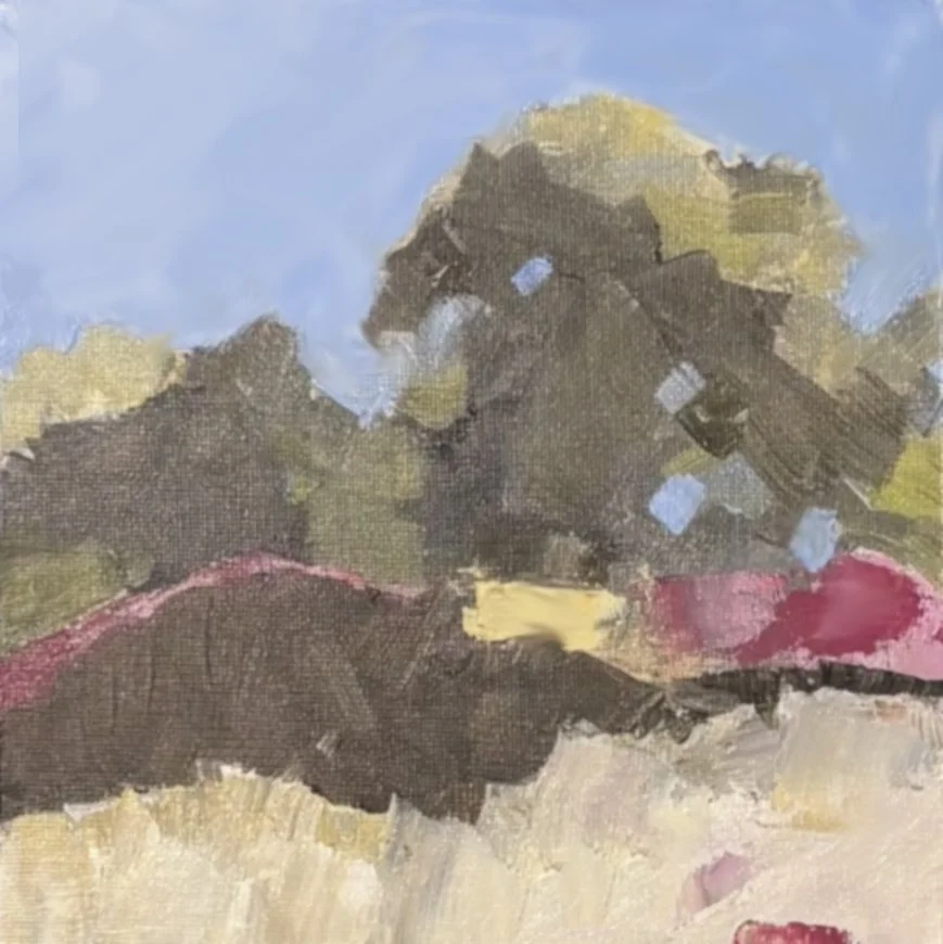 Leonora Curtin Wetland