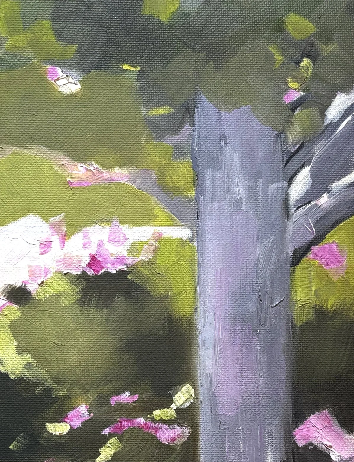 Botanic Garden Tree