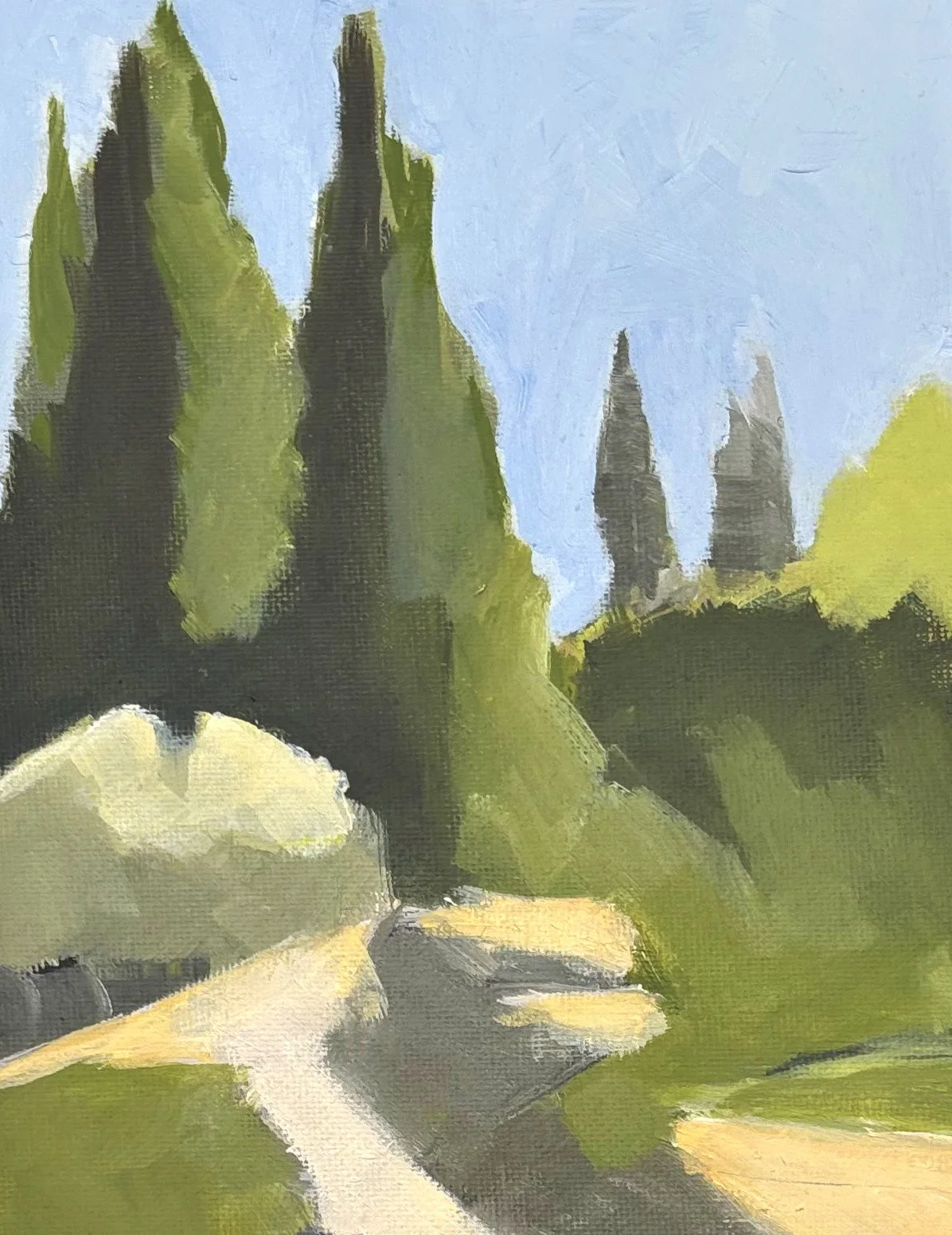 Botanic Garden Cypress