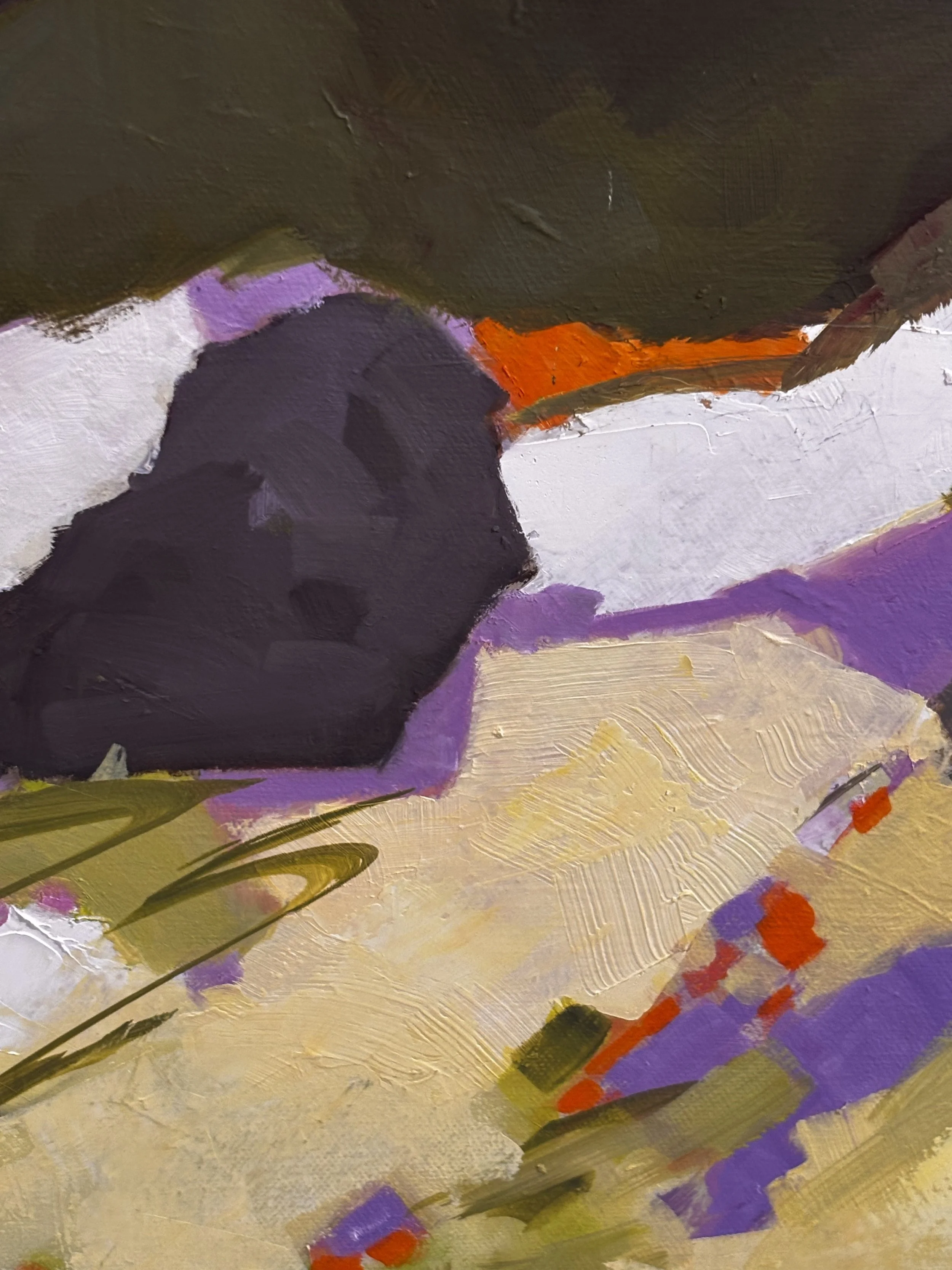curtinDetail.jpeg