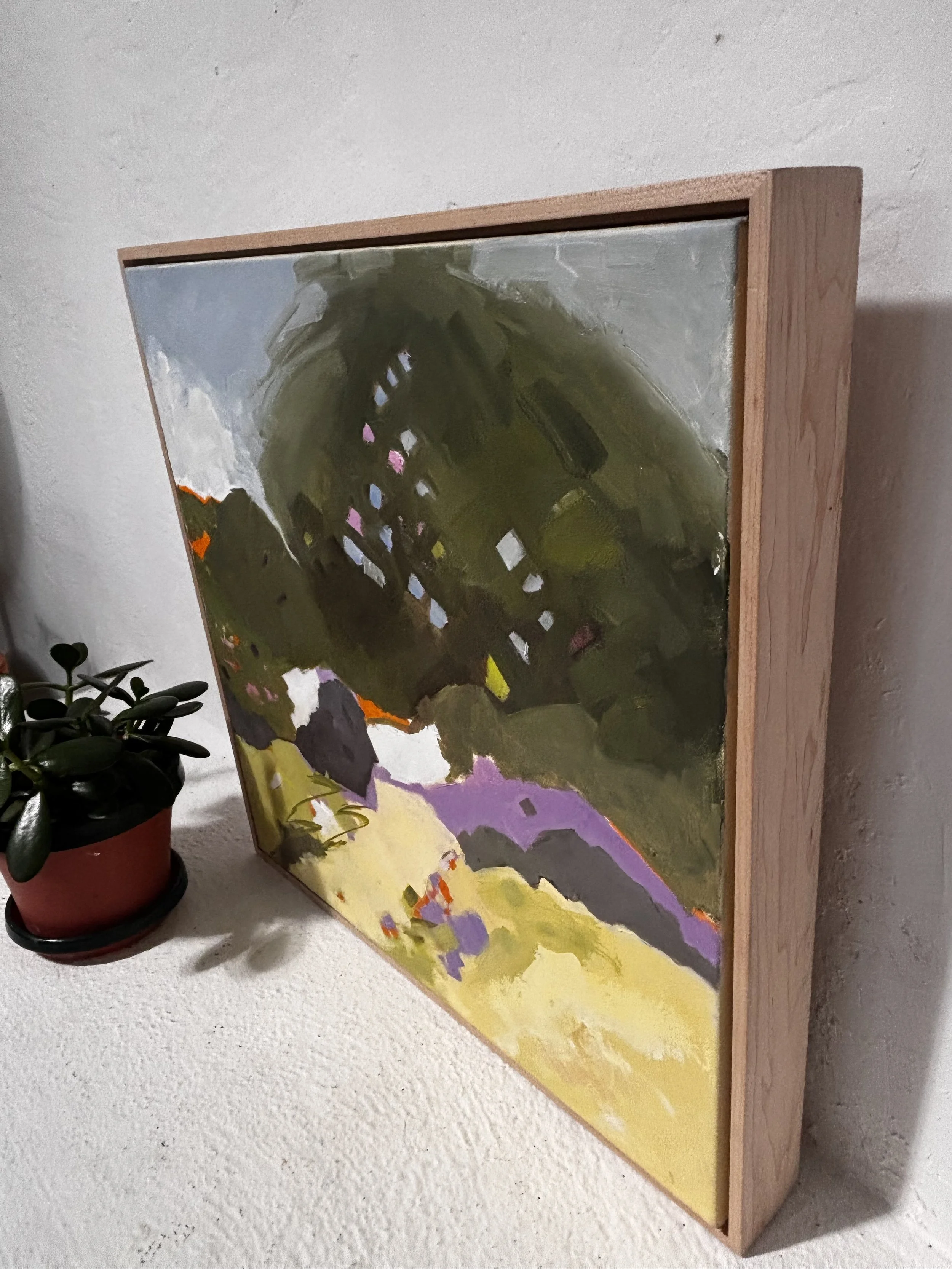 curtinFrame.jpeg