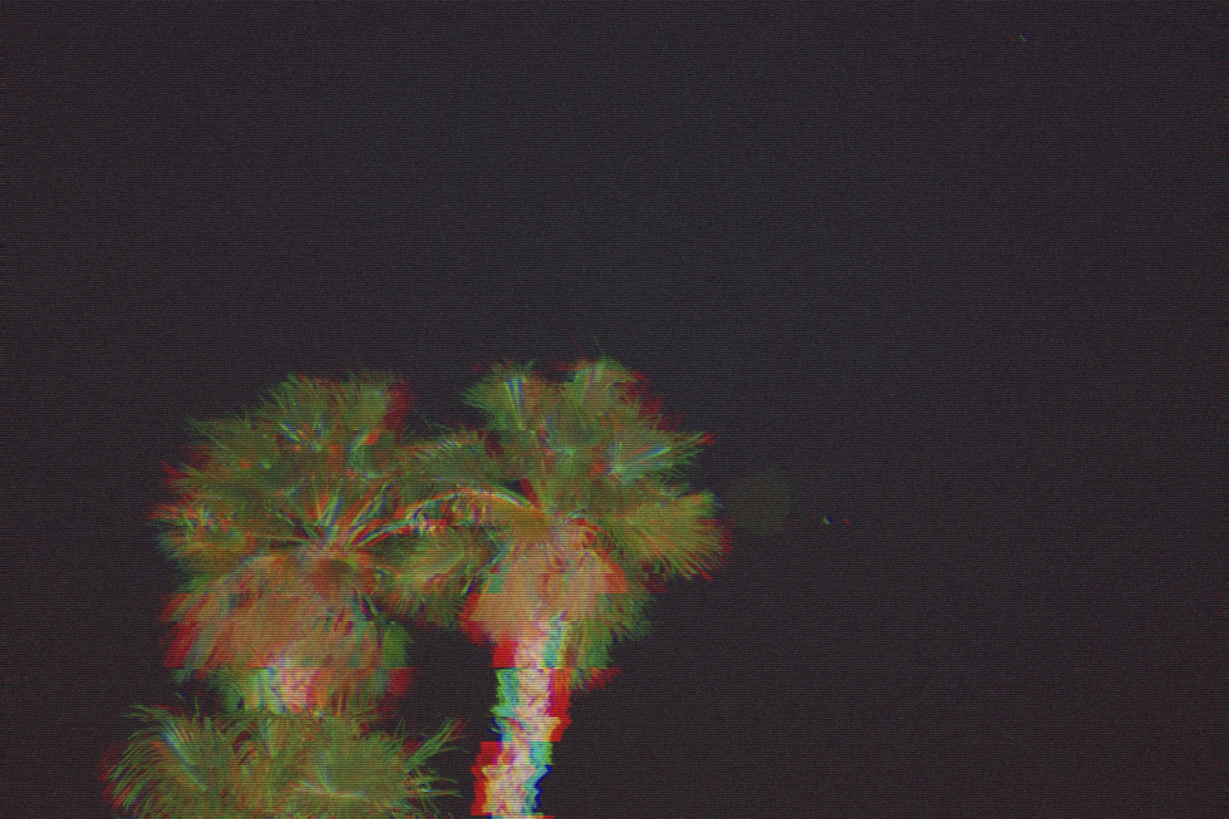 vegaspalm.jpg