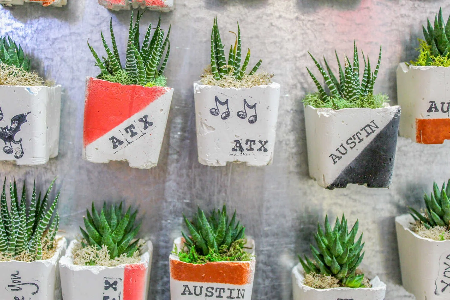 Weird and Fun Activities for Adults in Austin Texas - Boutique gift store in South Congress selling cactus plant refrigerator magnets.