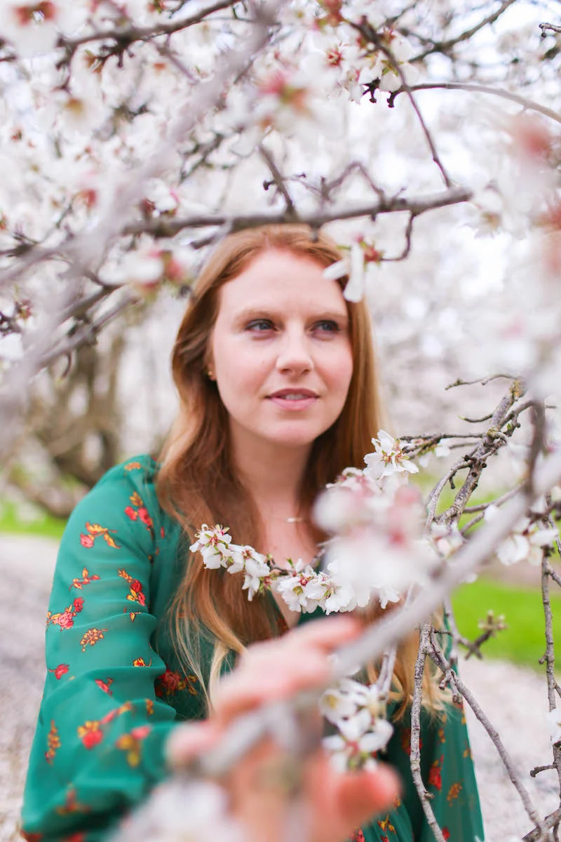 Gennifer Rose_Where to Find the Blooming Almond Orchards in Northern California.jpg
