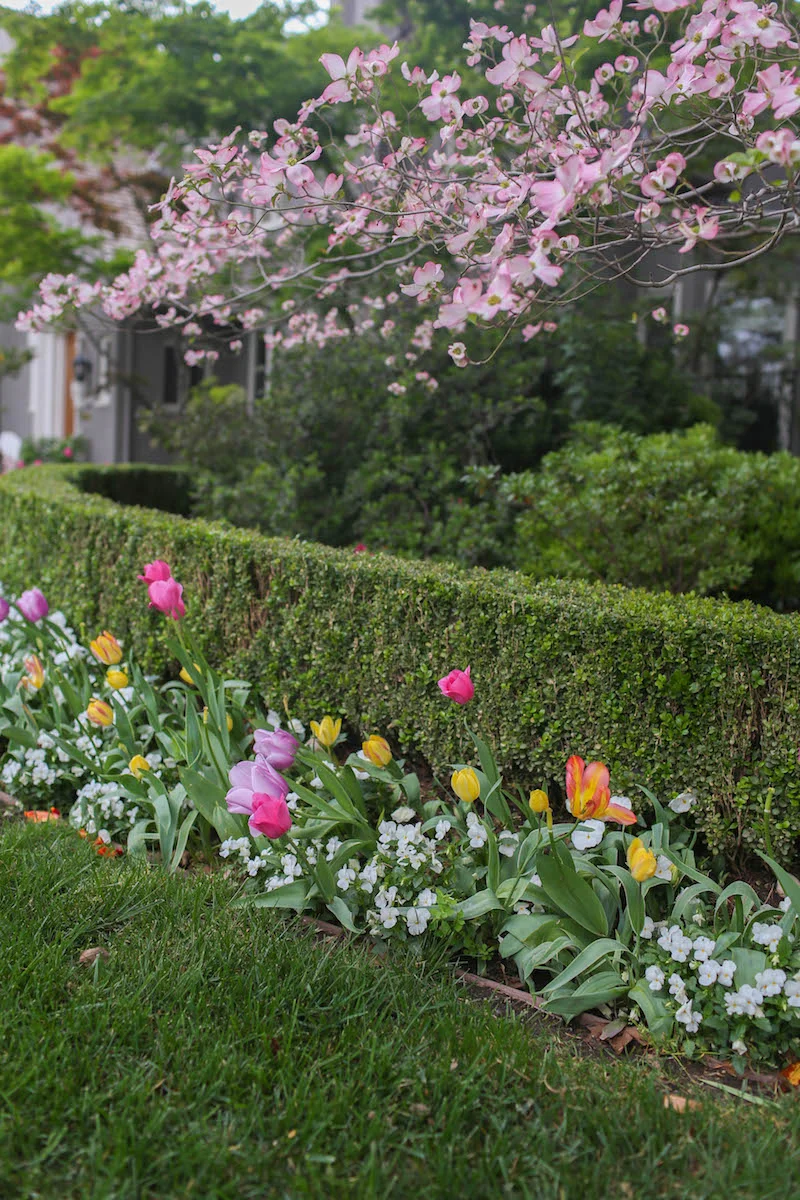 Gennifer Rose_Best Springtime Rainy Day Activities in Sacramento_8.jpg