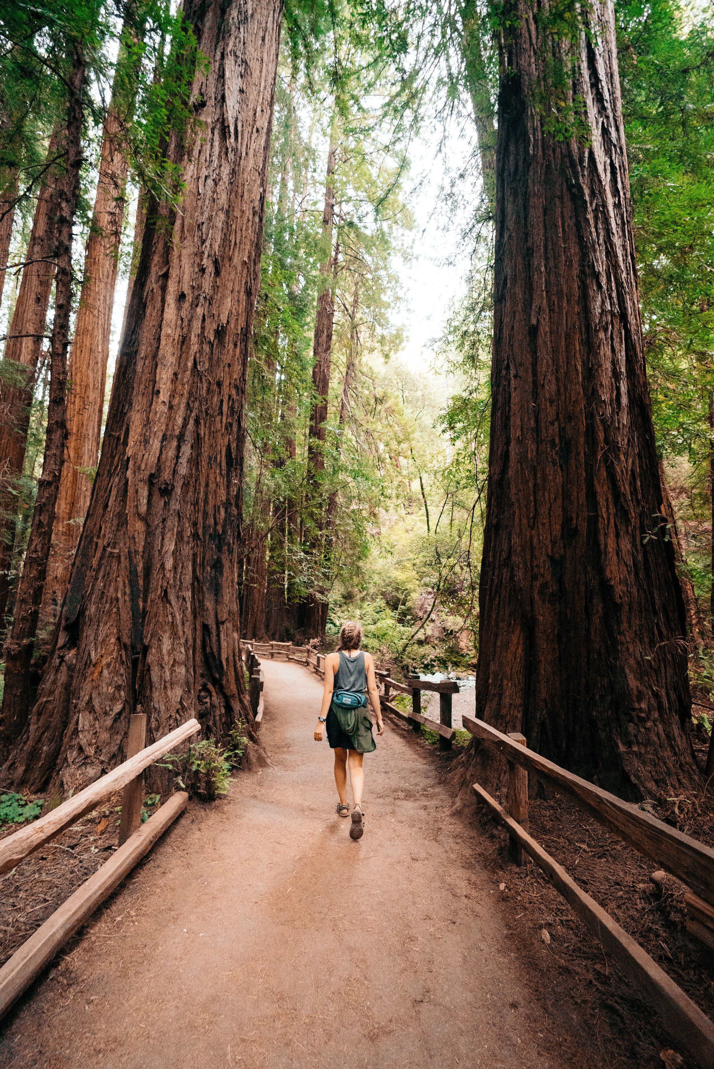 Beach Train from Roaring Camp through Redwoods to Santa Cruz.jpg