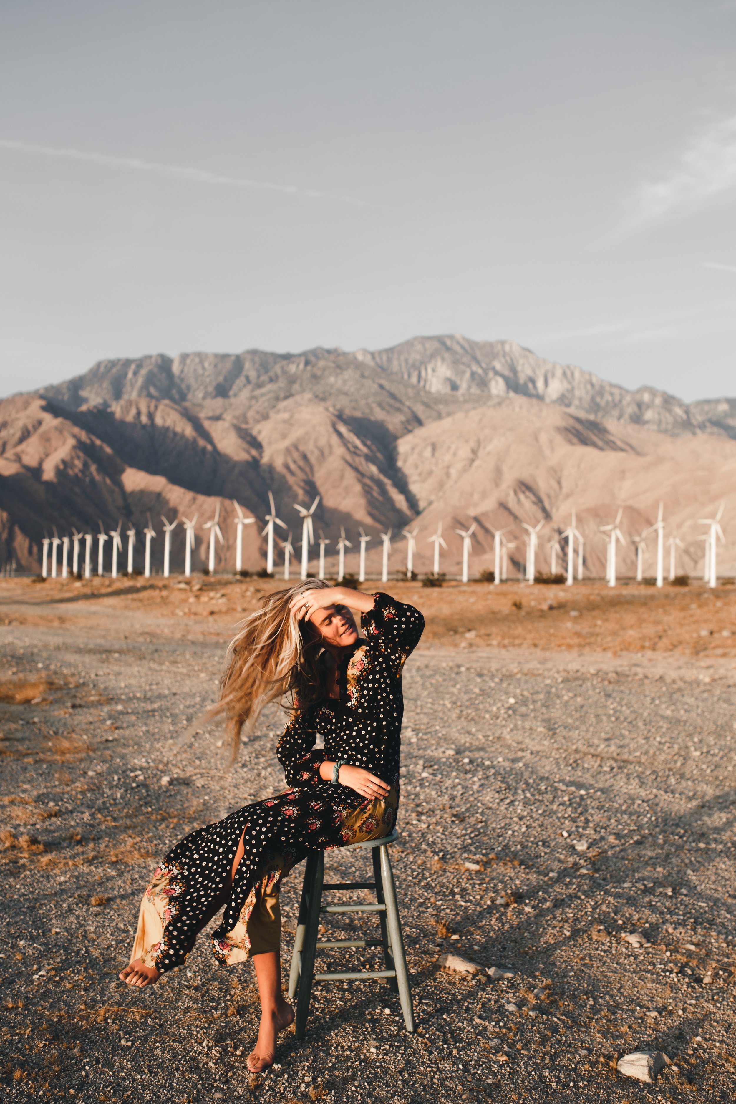 Palm Springs Windmill Tours.jpg