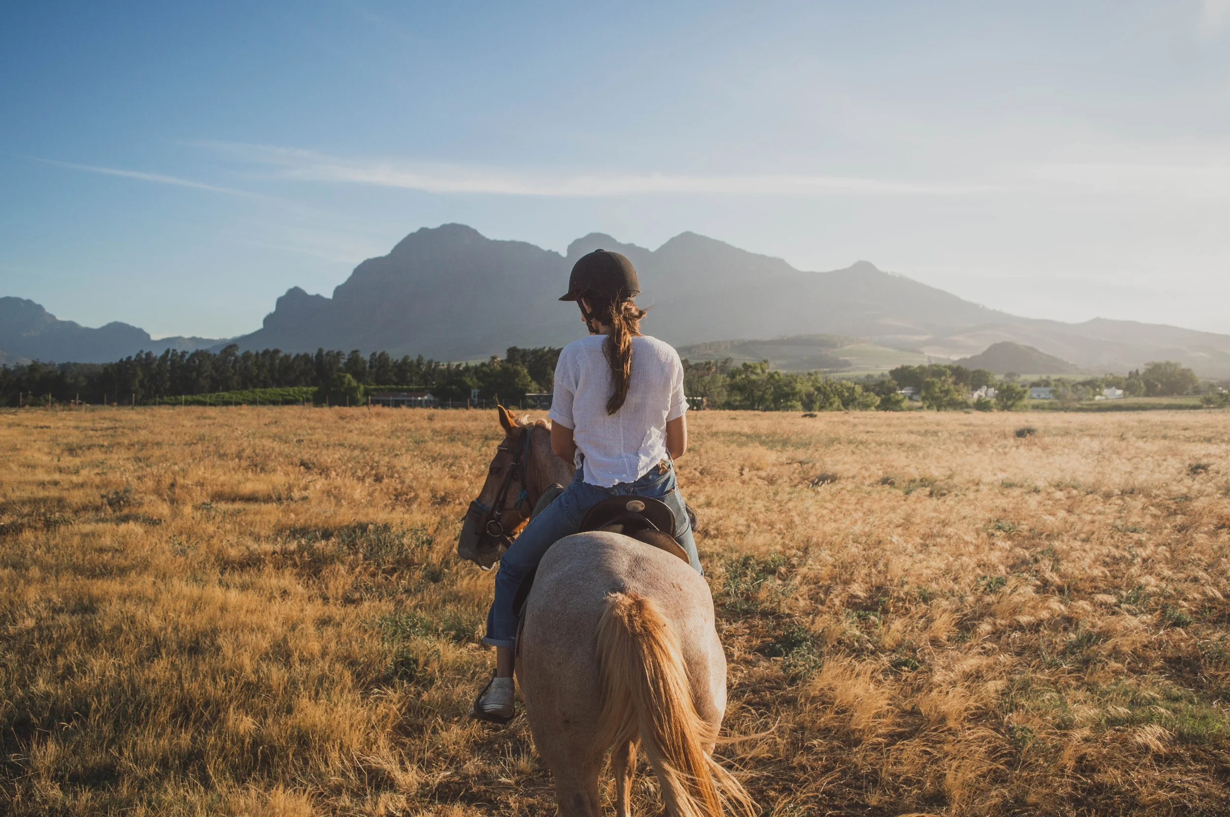 Sonoma Horseback-Riding Tour.jpg