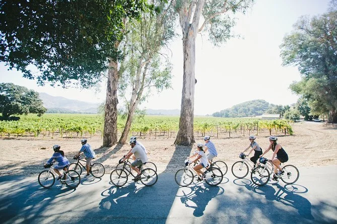 Napa Valley Bike + Wine Tour.jpg