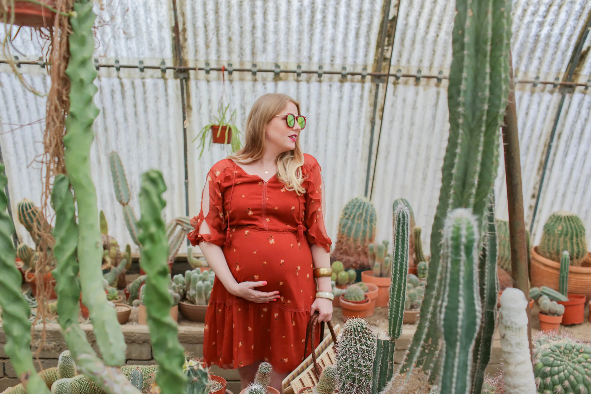 Moorten Botanical Garden and Cactarium in Palm Springs