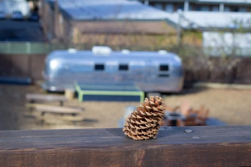 Babymoon in Lake Tahoe CA featured by top California travel blogger, Gennifer Rose