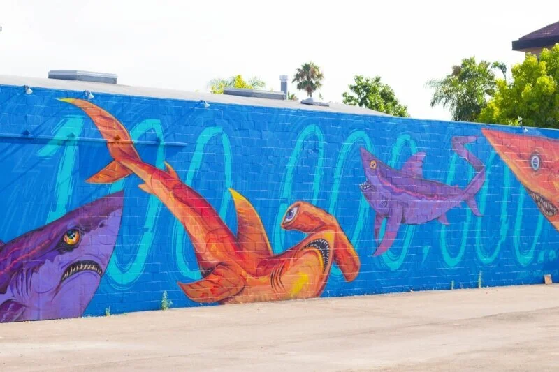 A Complete Guide to San Diego Murals Gennifer Rose