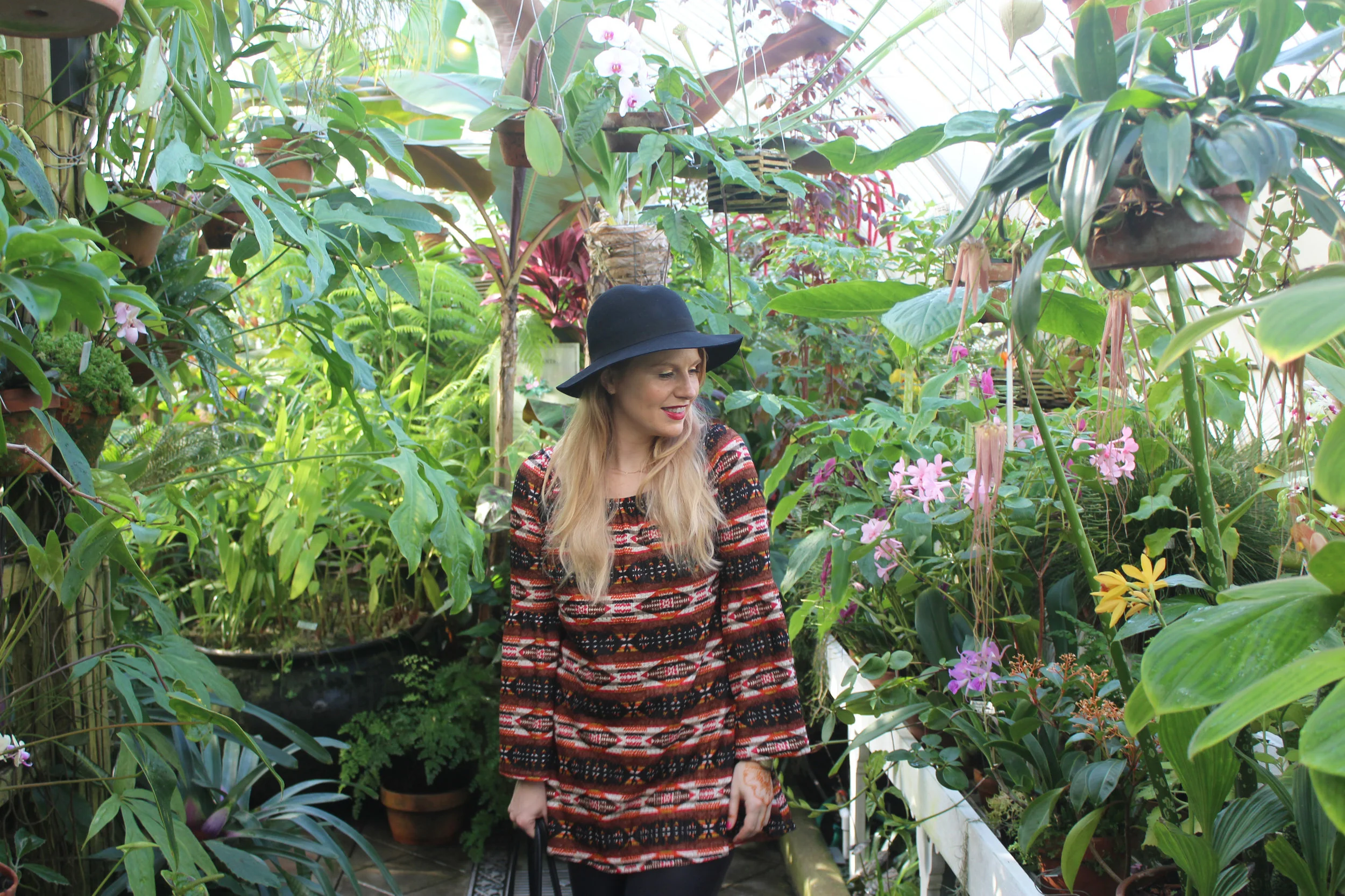 Top 10 Most Instagrammable San Francisco Gardens