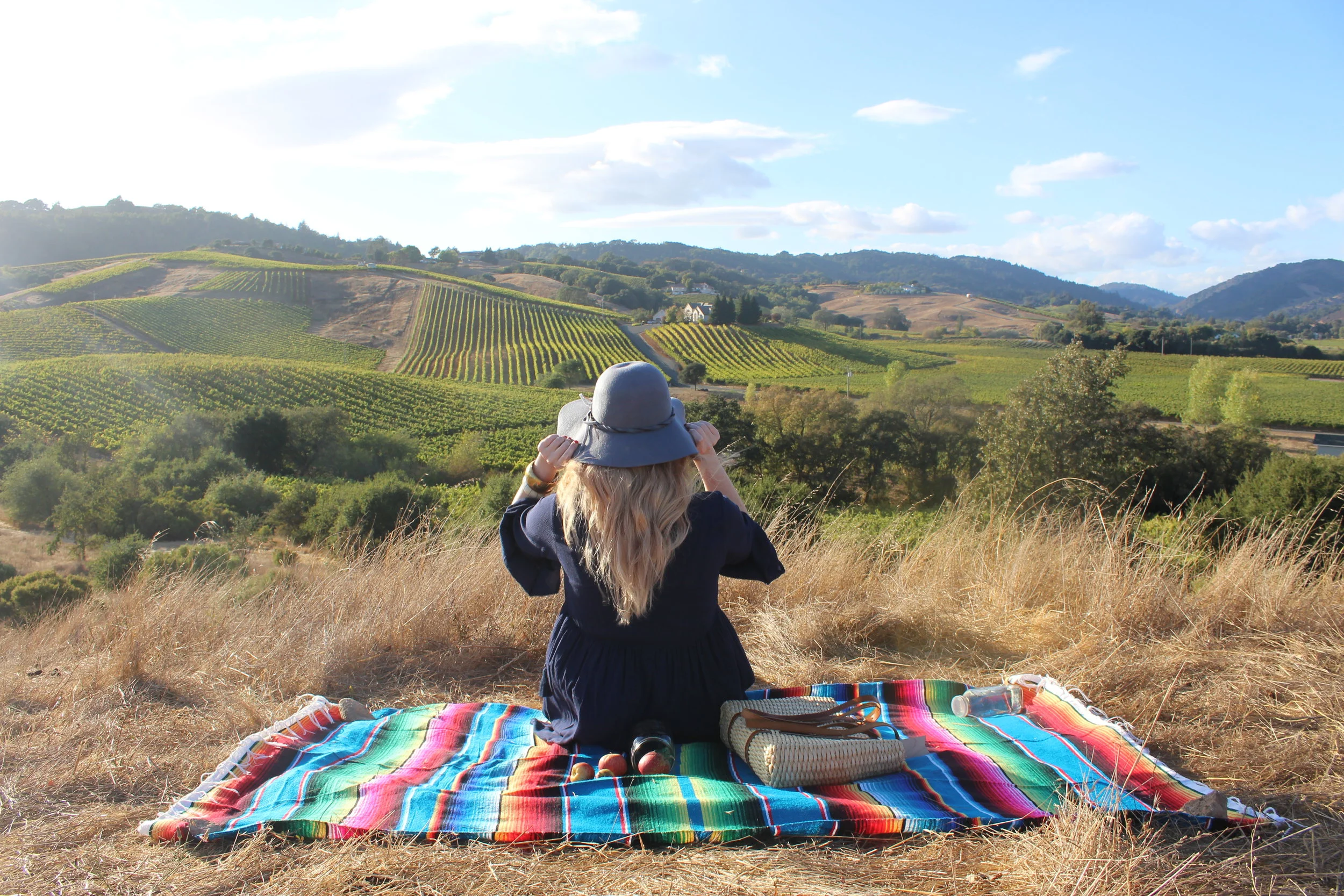Top 10 Best Picnic Places in Napa Valley