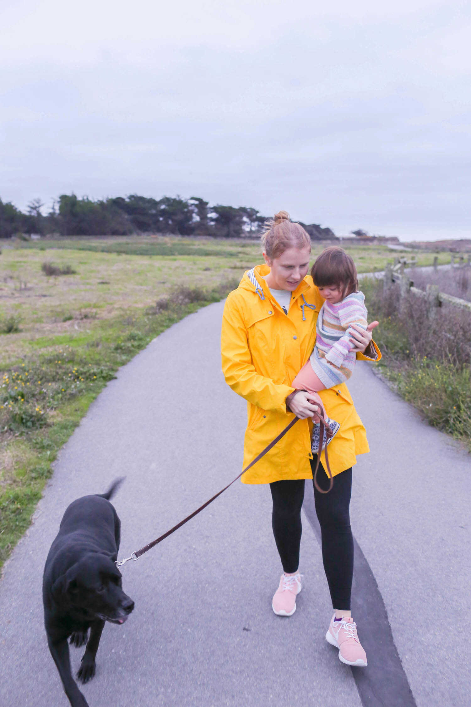 Dog Friendly Guide To Half Moon Bay California