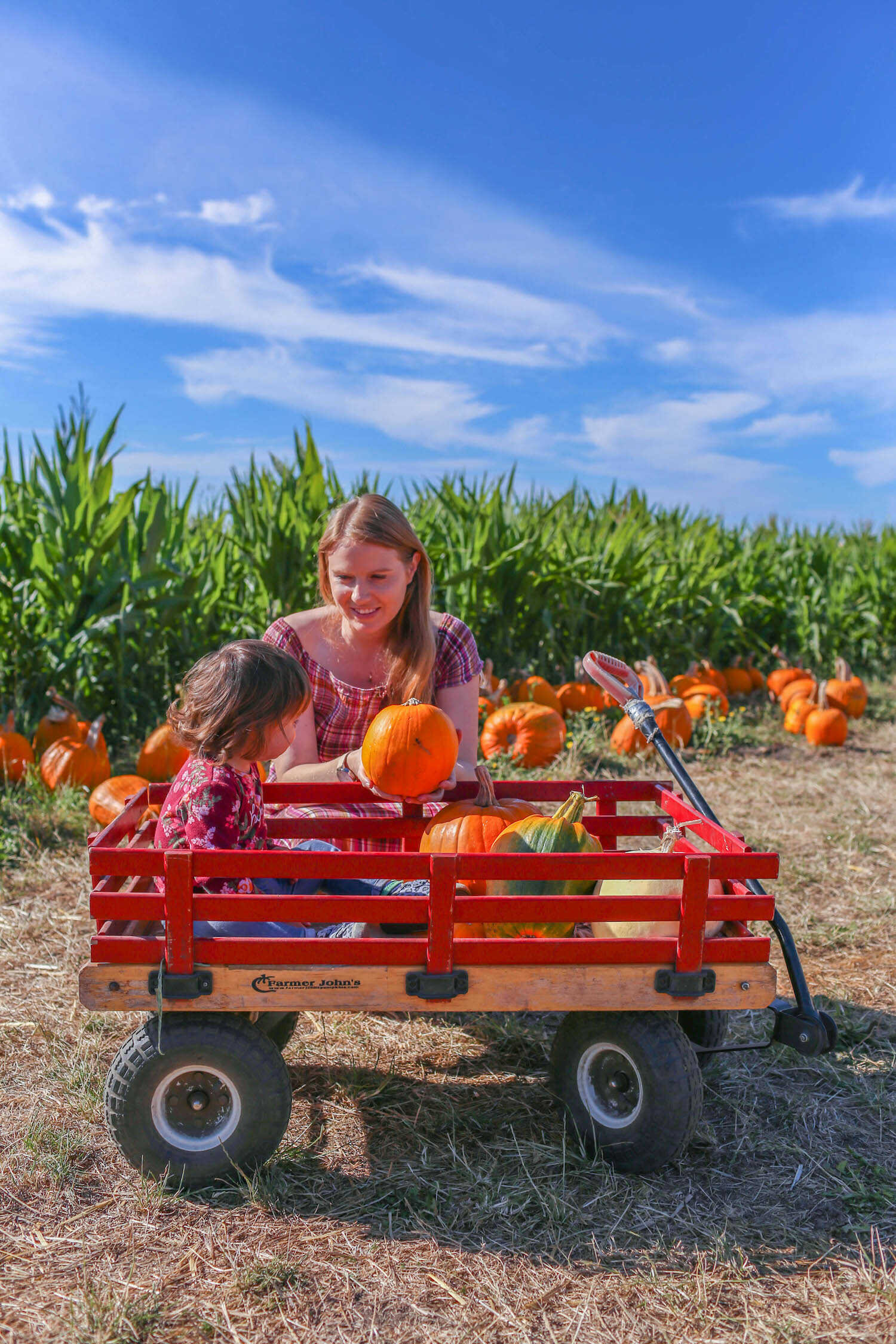 The Best Pumpkin Patches and Farms for Photos in Half Moon Bay
