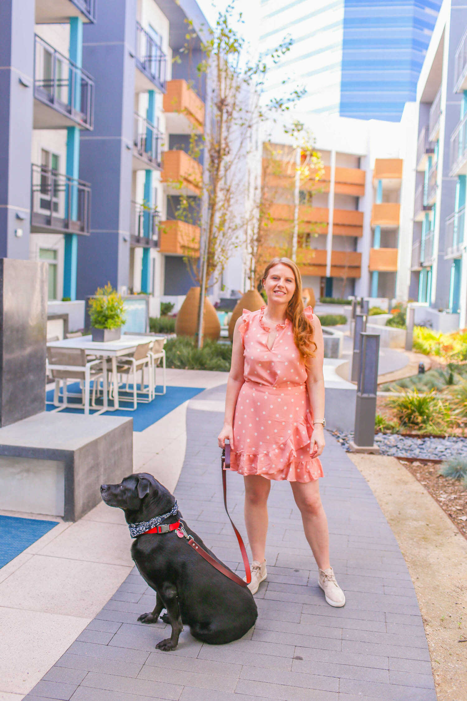 Los Angeles DogFriendly Guide