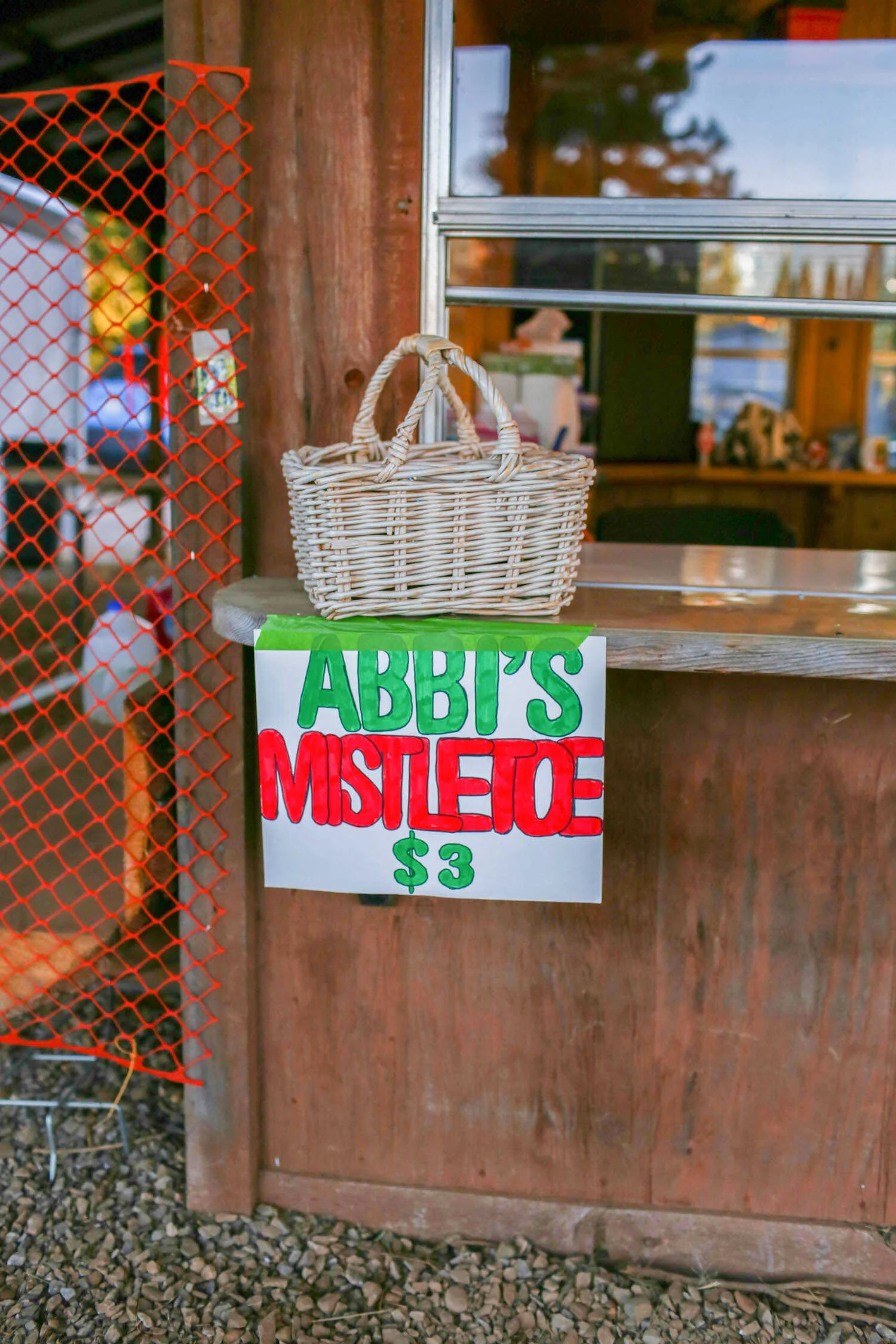 Best Apple Hill Christmas Tree Farms to Cut Your Own Tree