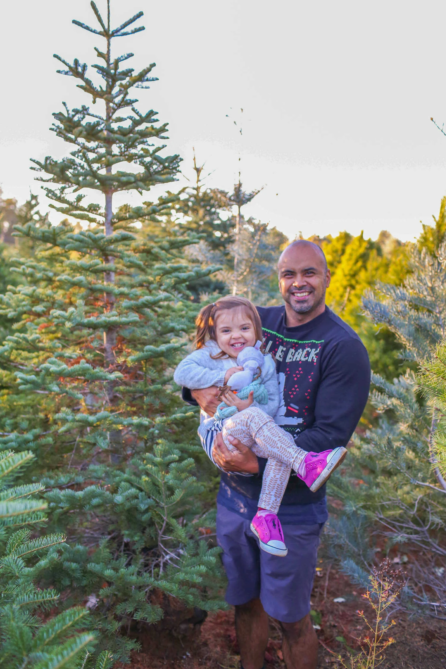 Best Apple Hill Christmas Tree Farms to Cut Your Own Tree