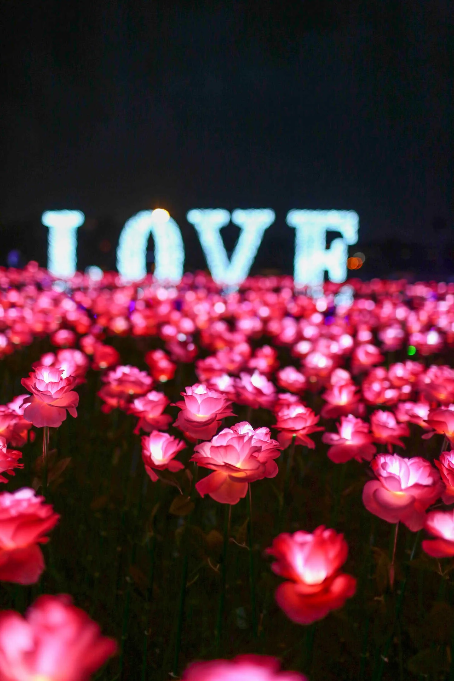 Instagram Guide to the Winter Wonderland Imaginarium Lights Show at the Cal Expo in Sacramento