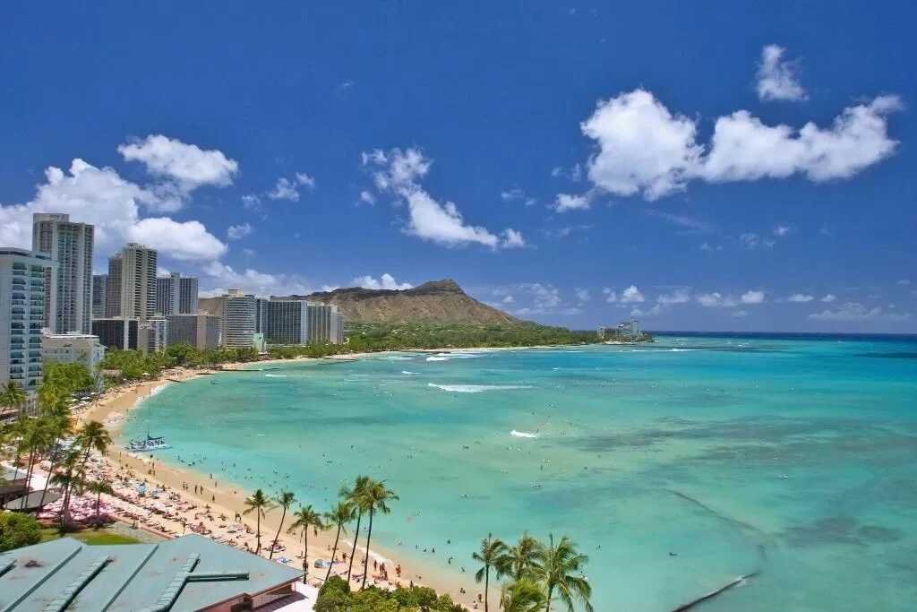 Ocean Views Kuhio Waikiki Apartment