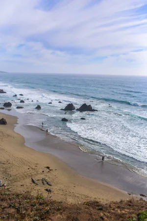 Bodega Bay Family Travel Guide – Kid-Friendly Things To Do