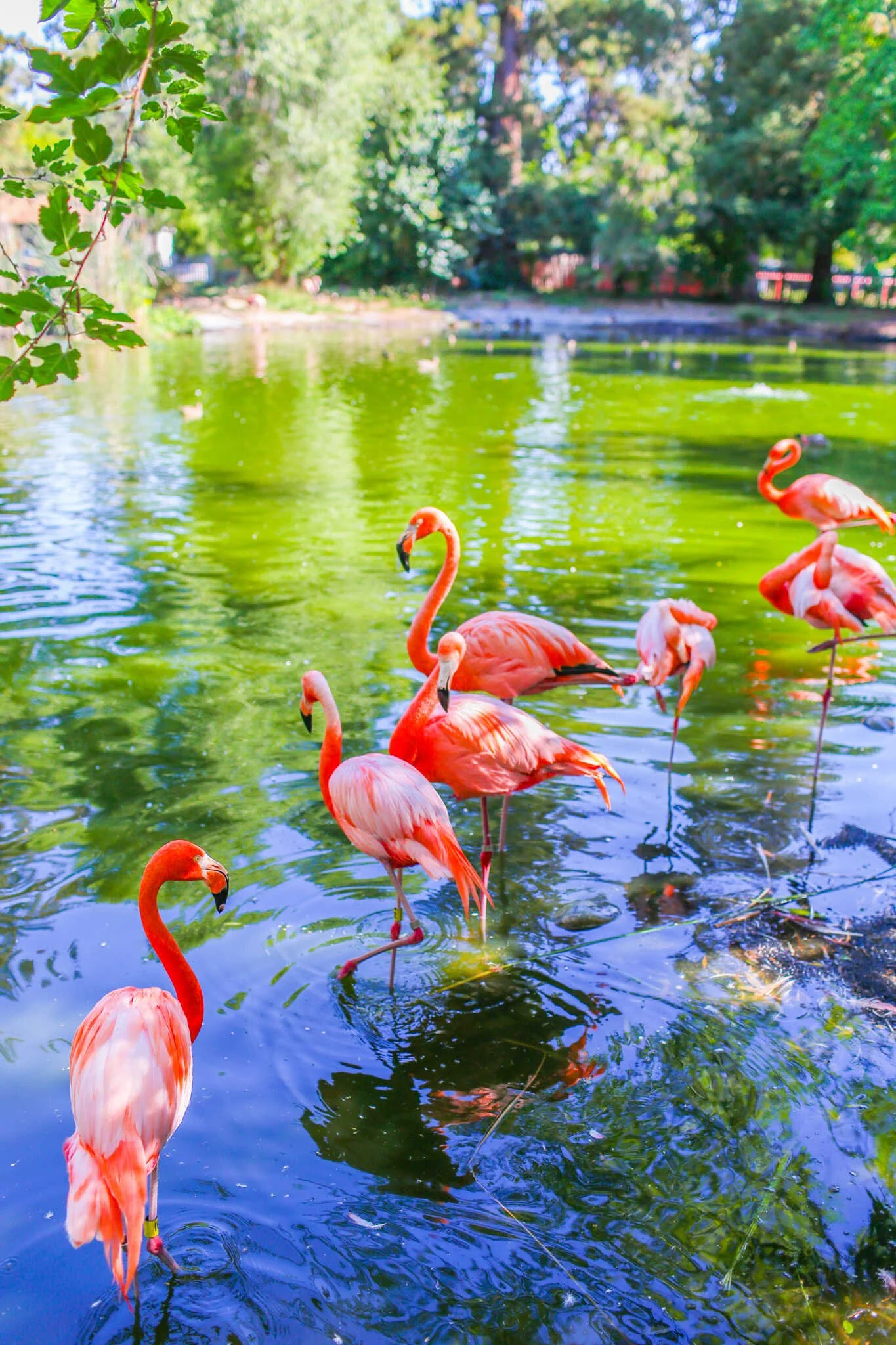 Guide to the Sacramento Zoo in William Land Park - Everything to Know Before You Go