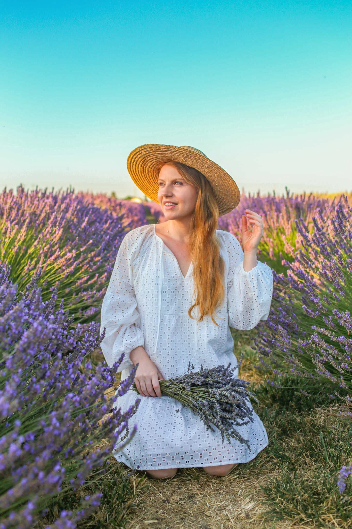Top 15 Stunning California Lavender Fields at Farms You Can Visit and U-Pick