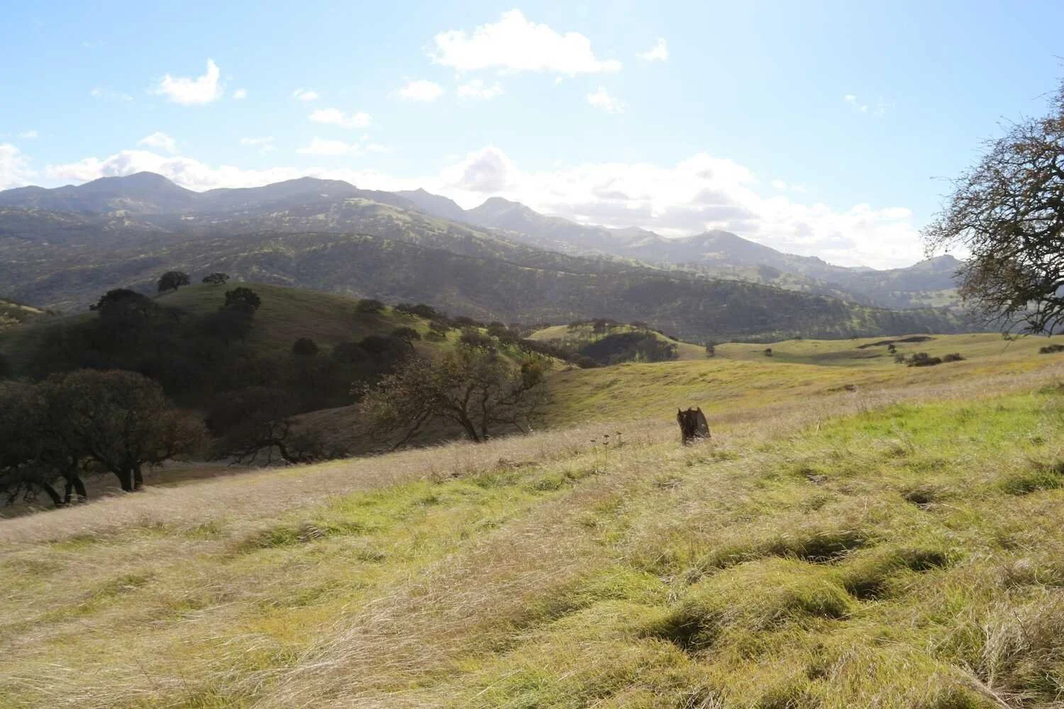 Your Family’s Guide To Hollister, California: Things To Do &amp; Places To Go
