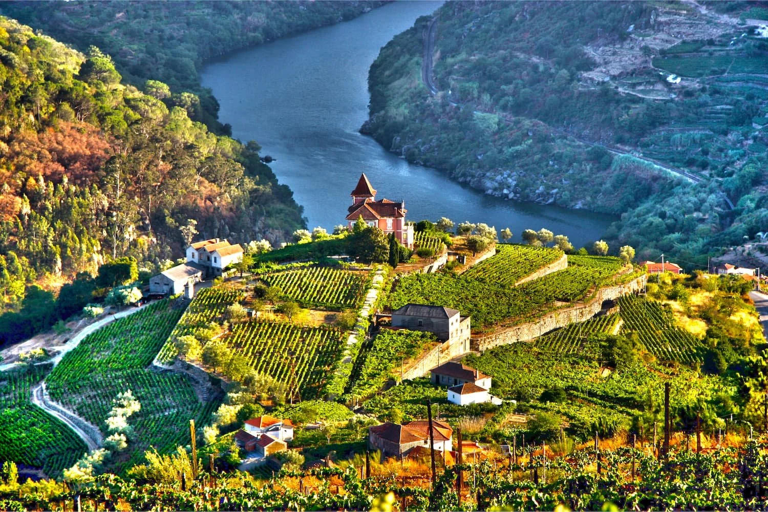 Why Portugal, Douro Valley and the Camino de Santiago Should Be Your 2025 Cycling Goals