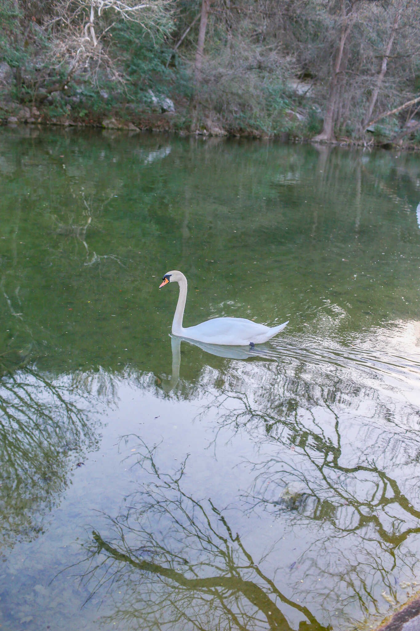Weird and Fun Activities for Adults in Austin Texas - The County Line by the Lake BBQ restaurant.
