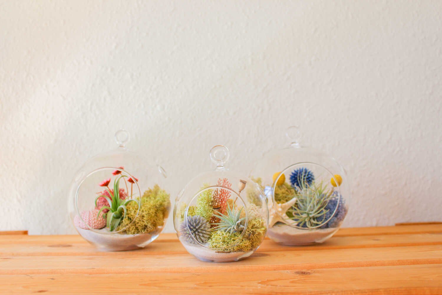 The Ultimate Guide to Moss Terrariums: Tips, Tricks, and Inspiration