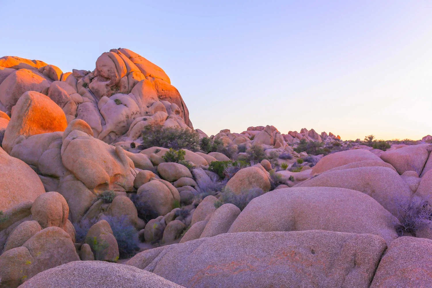 Day Trip to Joshua Tree - Top Activities for a One Day Itinerary