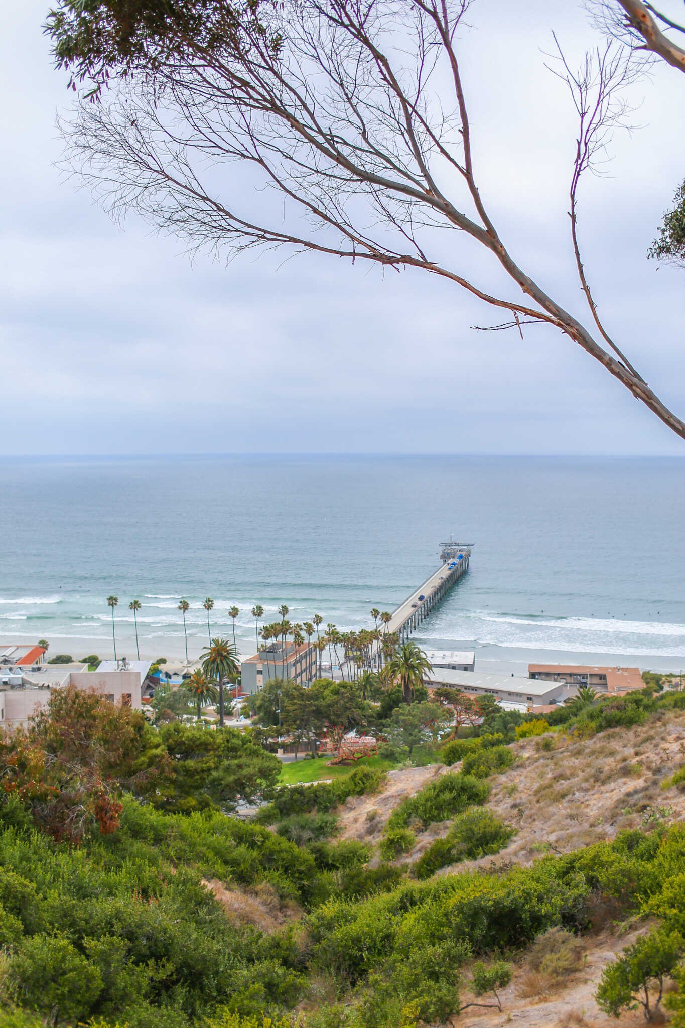 Weekend Guide to La Jolla - Ocean views from the Birch Aquarium at Scripps.