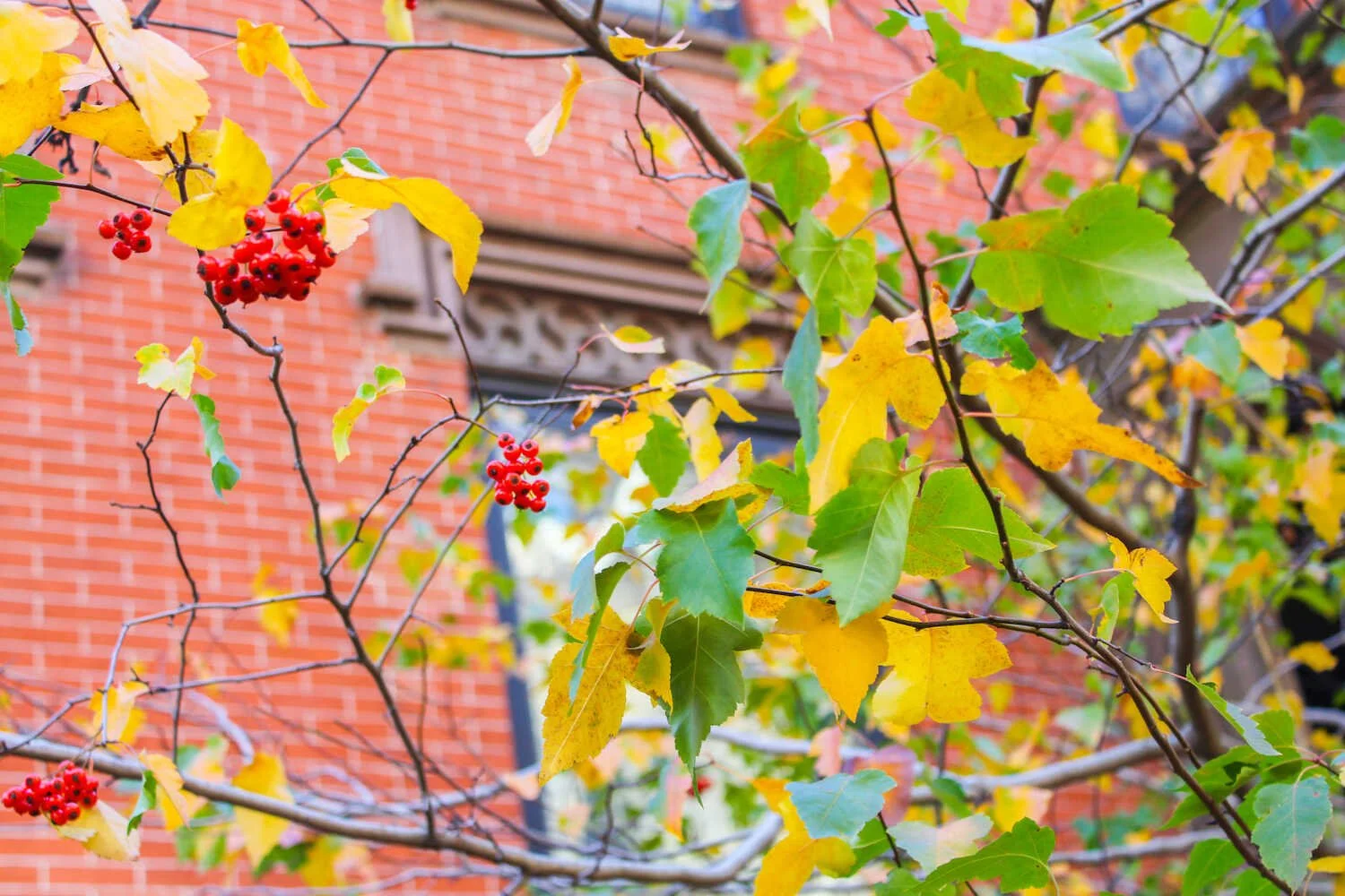 Over 200 Fall Hashtags to Use for Autumn Themed Content Posts on Social