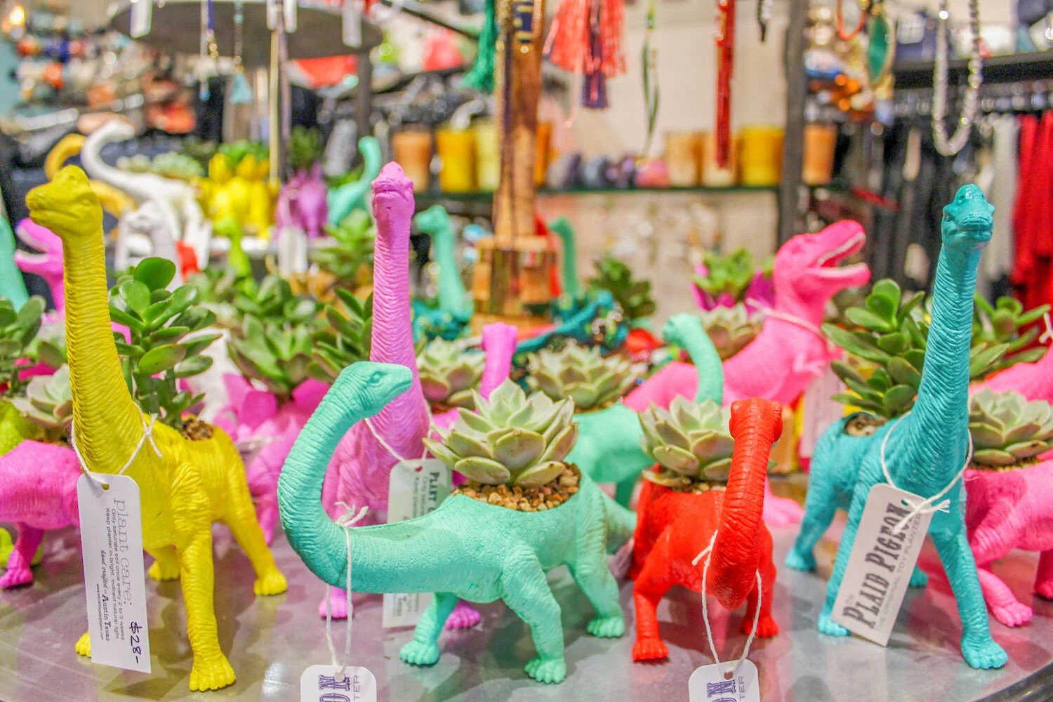 Weird and Fun Activities for Adults in Austin Texas - Plaid Pigeon dinosaur planters for sale inside the Maya Star boutique in South Congress.