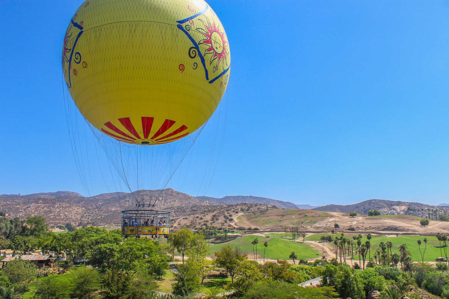 San Diego Zoo vs. Safari Park - Balloon Safari inside Safari Park.