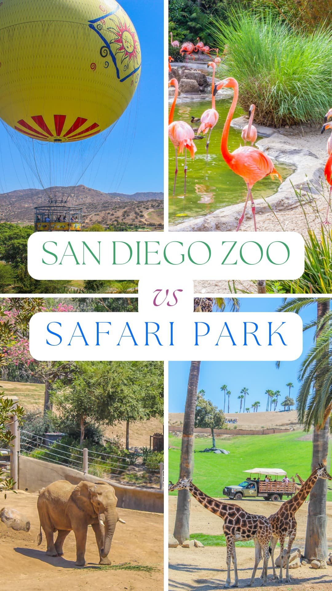 sd zoo vs safari park reddit