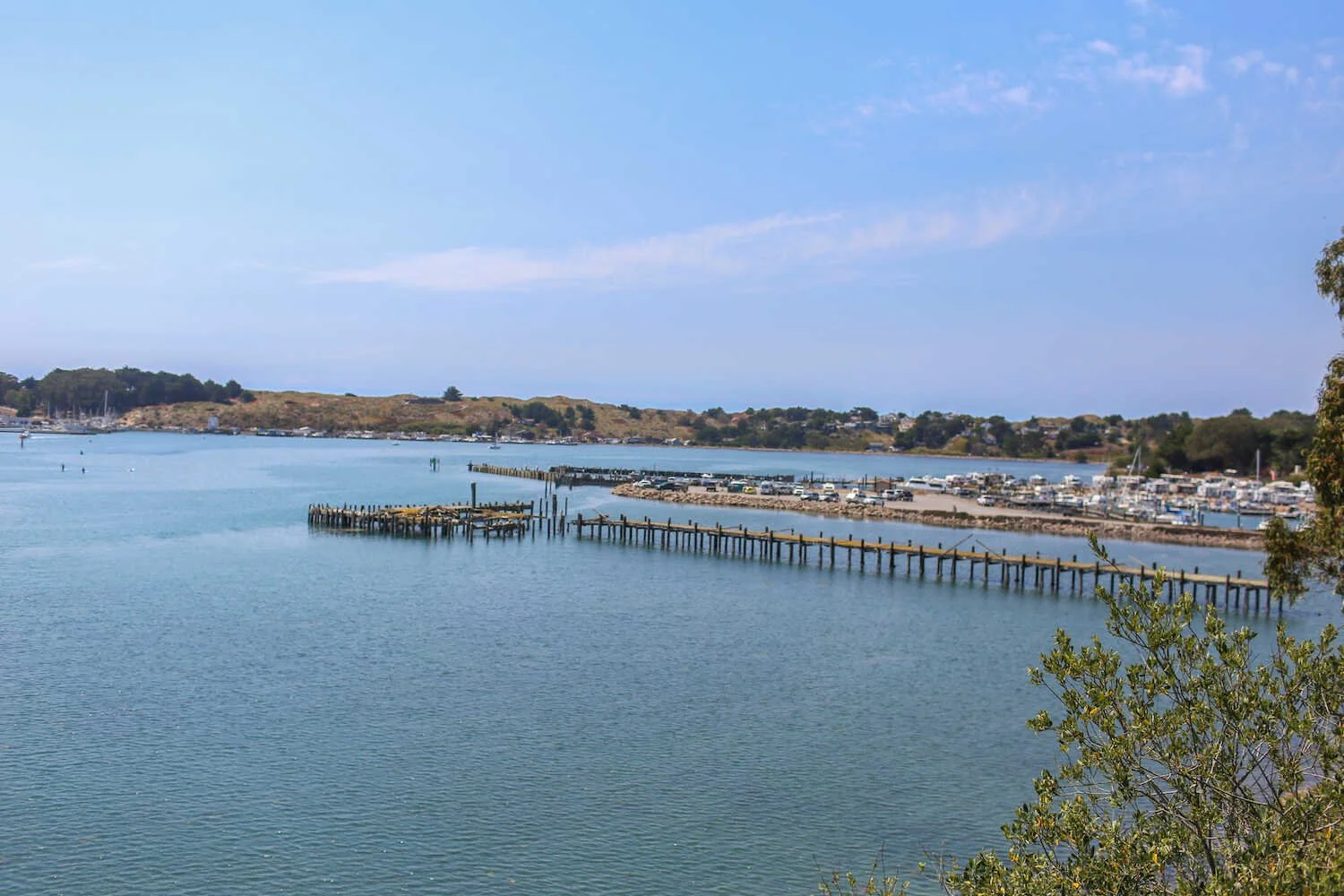 Bodega Bay Family Travel Guide KidFriendly Things To Do