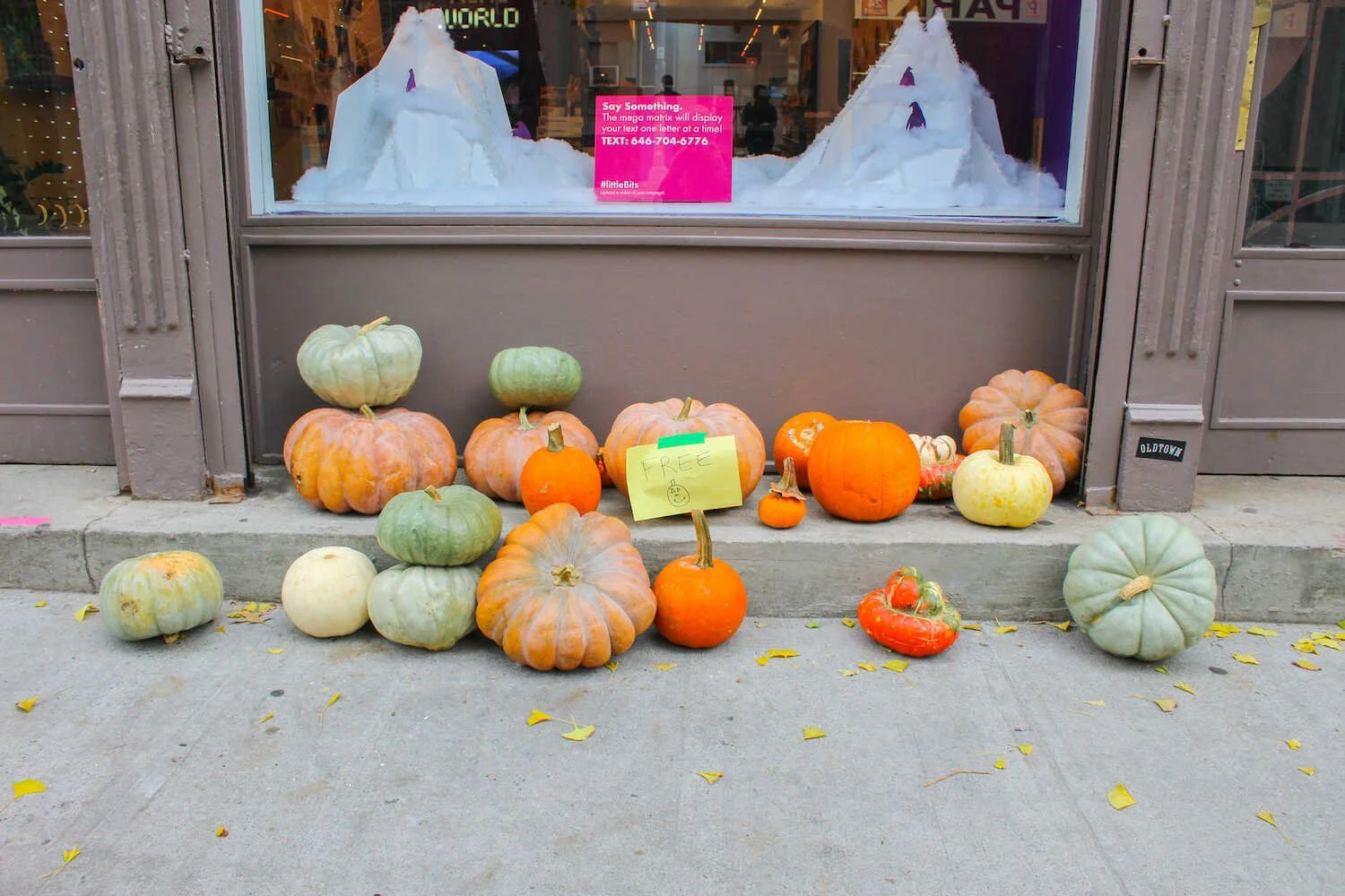 Over 200 Fall Hashtags to Use for Autumn Themed Content Posts on Social