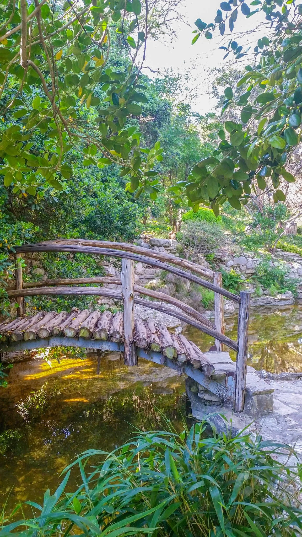 Top 15 Photo Sessions Spots Inside Zilker Botanical Gardens in Austin