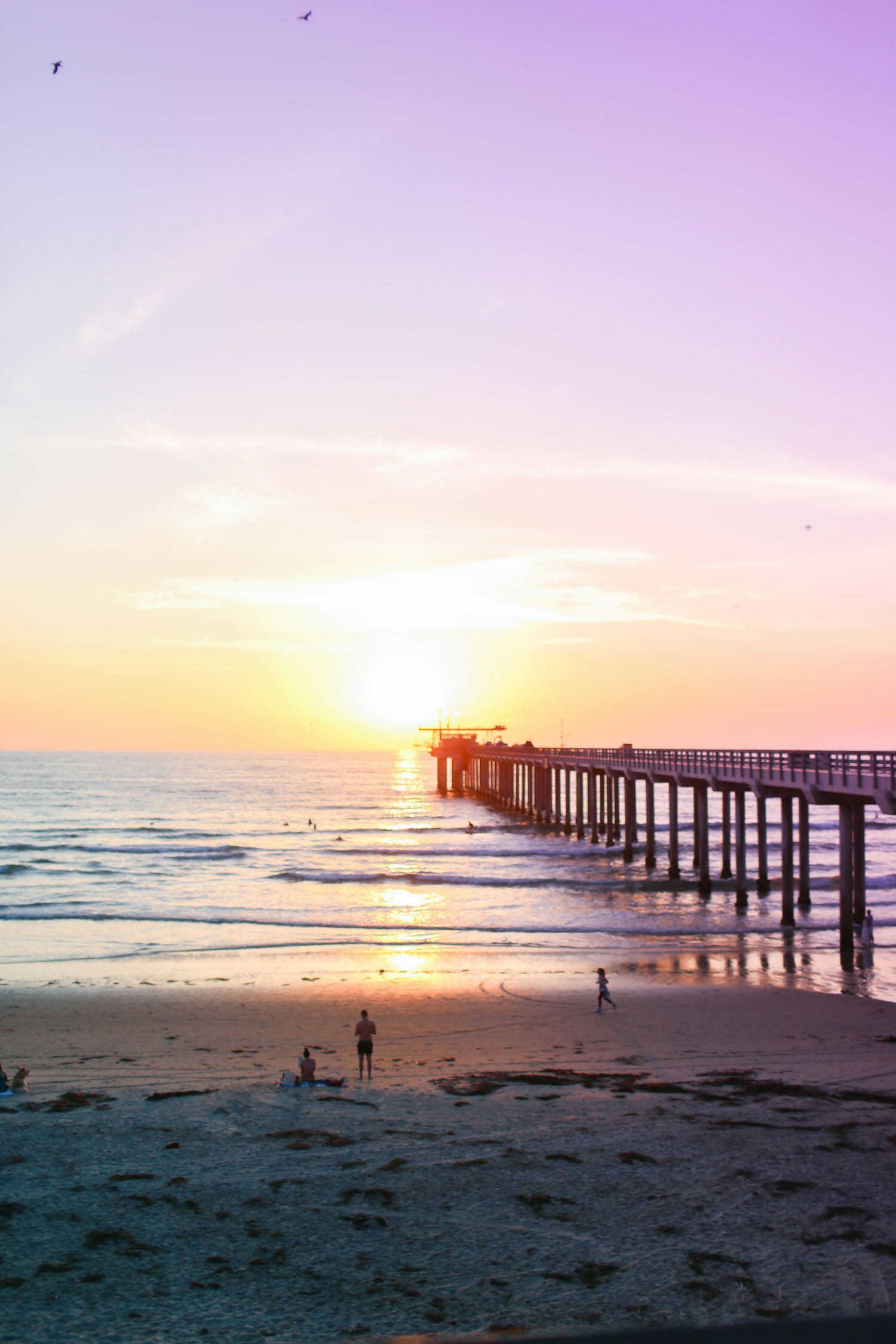 Weekend Guide to La Jolla - Scripps Pier Beach.